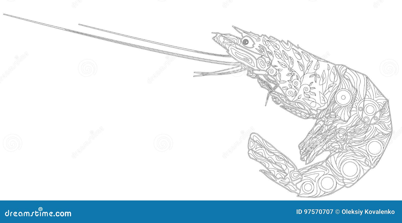 How To Draw A Crawfish : Crawfish Drawing High Res Stock Images