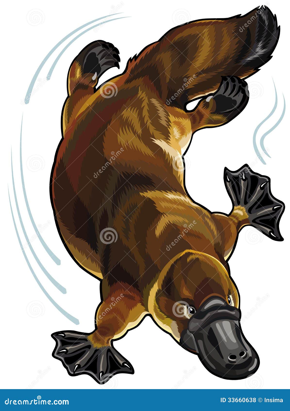 Baixar Vetor De Conjunto De Ornitorrinco Fofo, image size:1195x1690