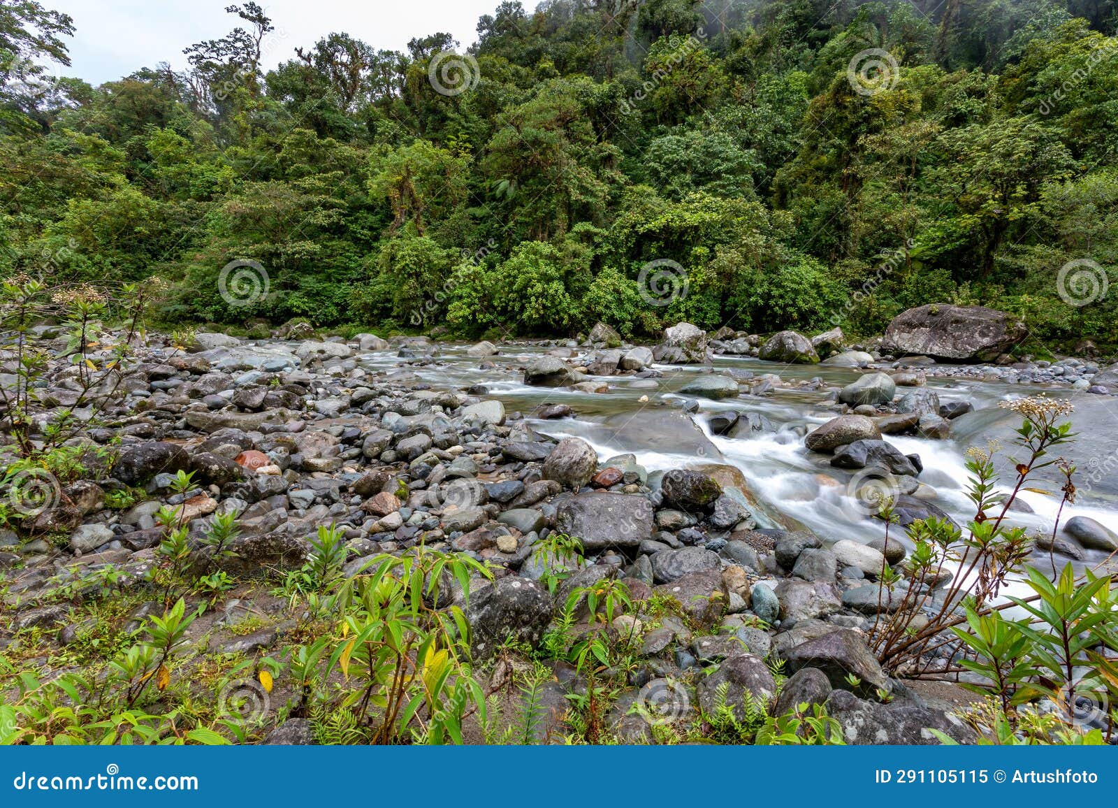 the orosi river, tapanti - cerro de la muerte massif national park