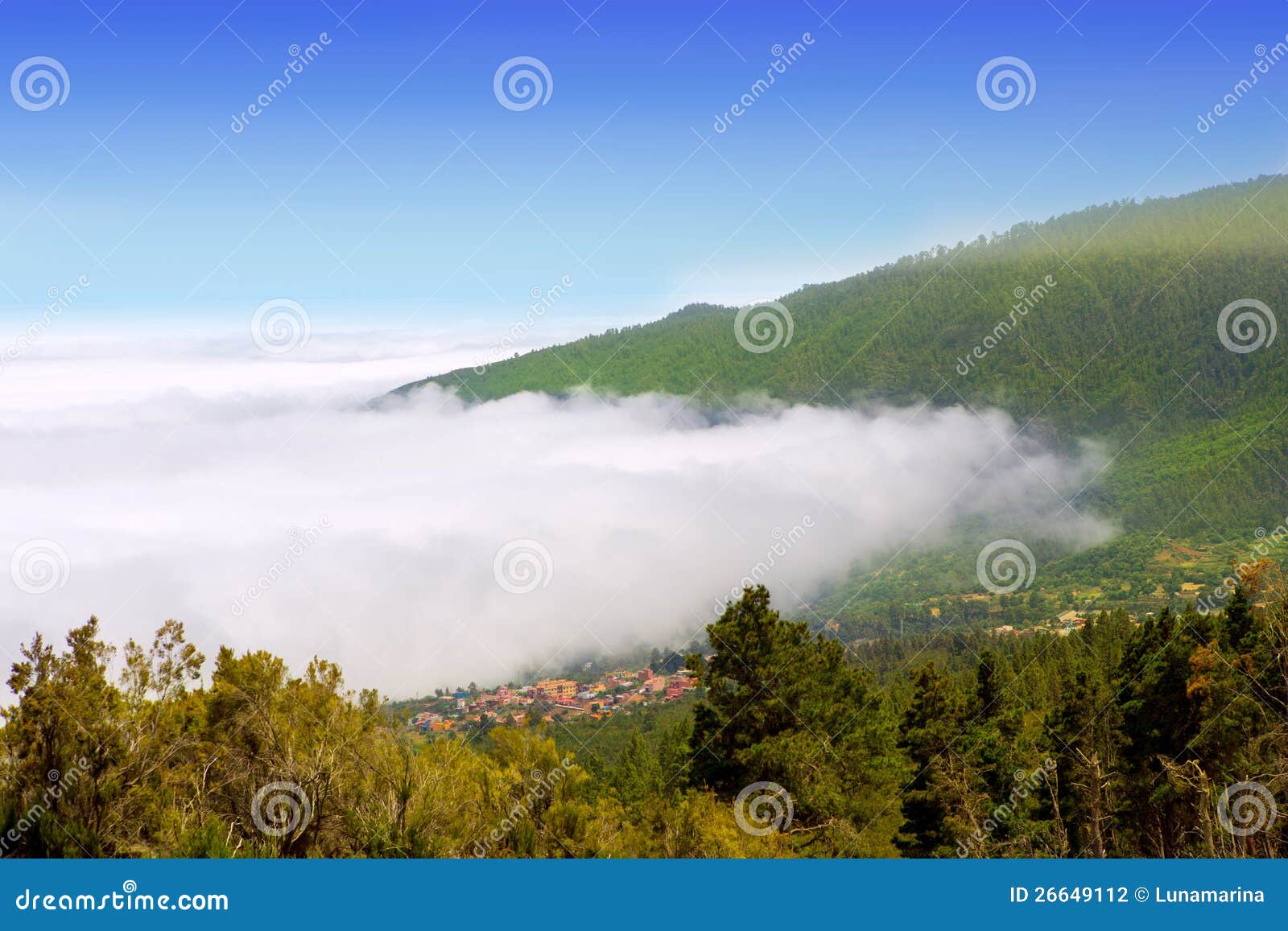 orotava valley with sea of clouds in tenerife mountain