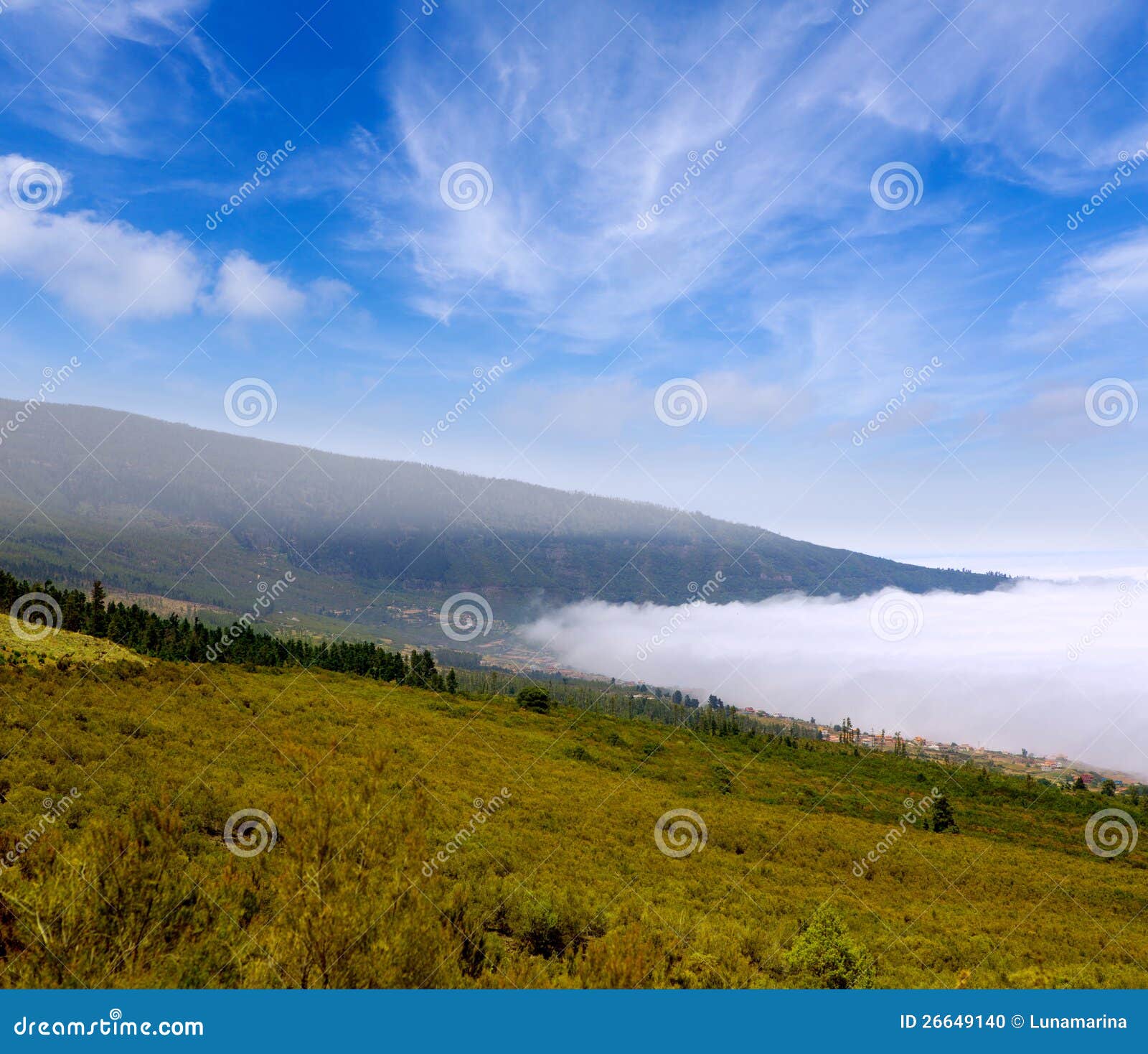 orotava valley with sea of clouds in tenerife mountain