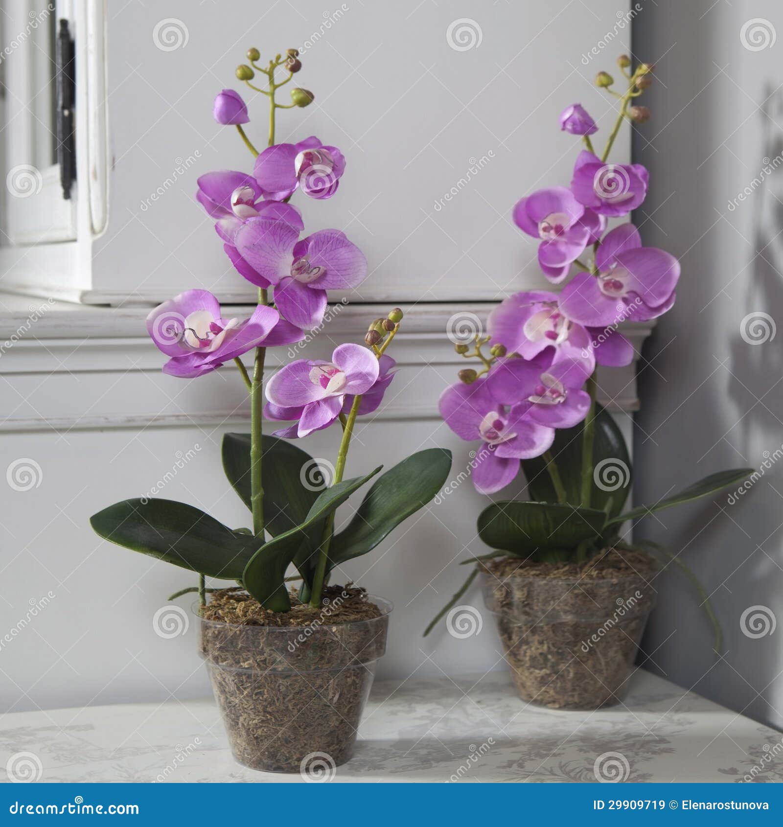 Orquídea Artificial Cor-de-rosa Em Pasta Na Tabela Preta Imagem de Stock -  Imagem de beleza, branco: 29909719