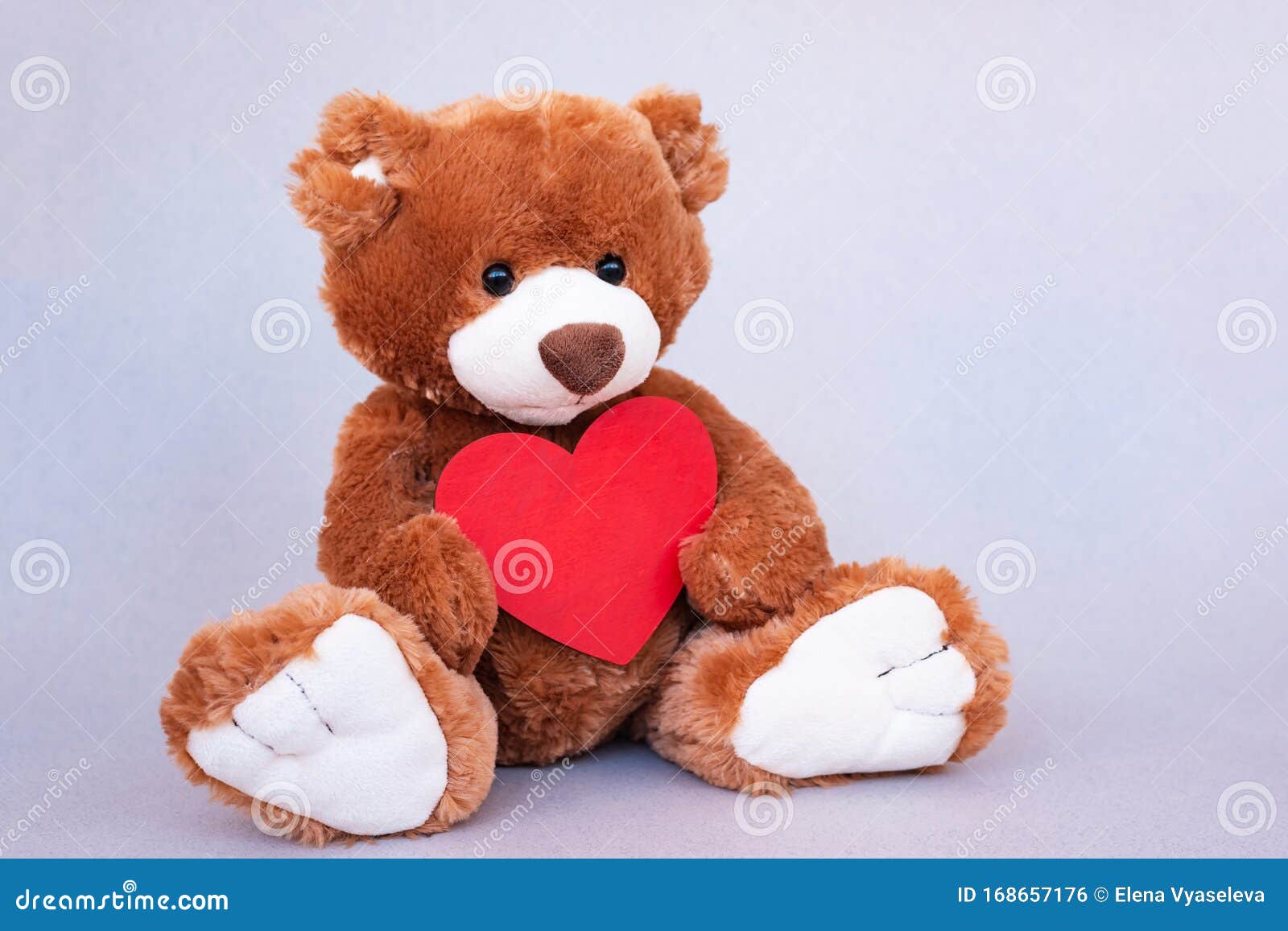 Orso Di Teddy Con Cuore Rosso Regalo Di San Valentino Fotografia Stock -  Immagine di giorno, forever: 168657176