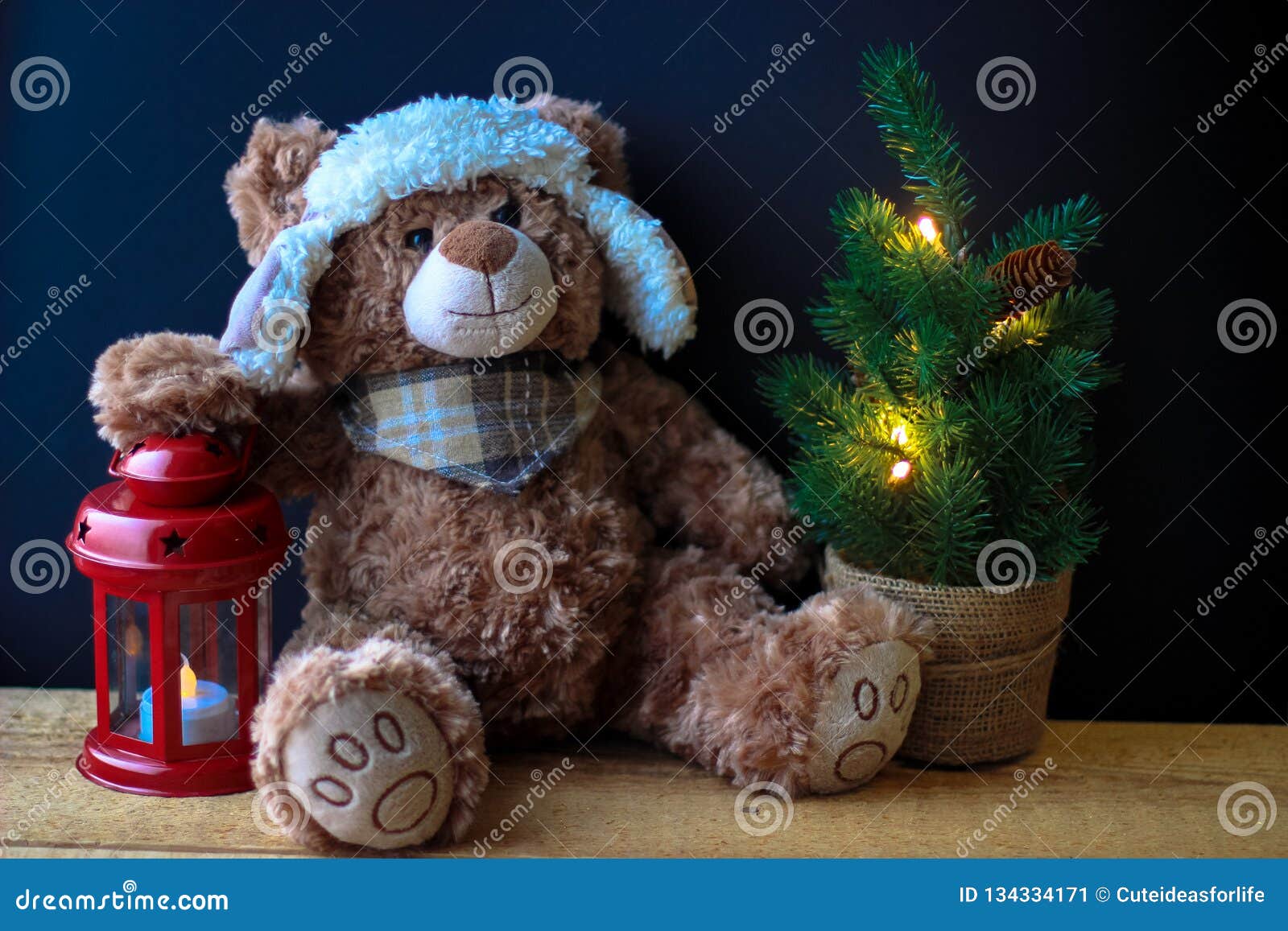 Immagini Zampa Natale.Orso Sveglio Del Giocattolo Che Tiene Una Zampa Su Una Lanterna Rossa Su Un Fondo Nero Nel Telaio Potete Vedere Un Piccolo Alber Immagine Stock Immagine Di Cute Cappello 134334171