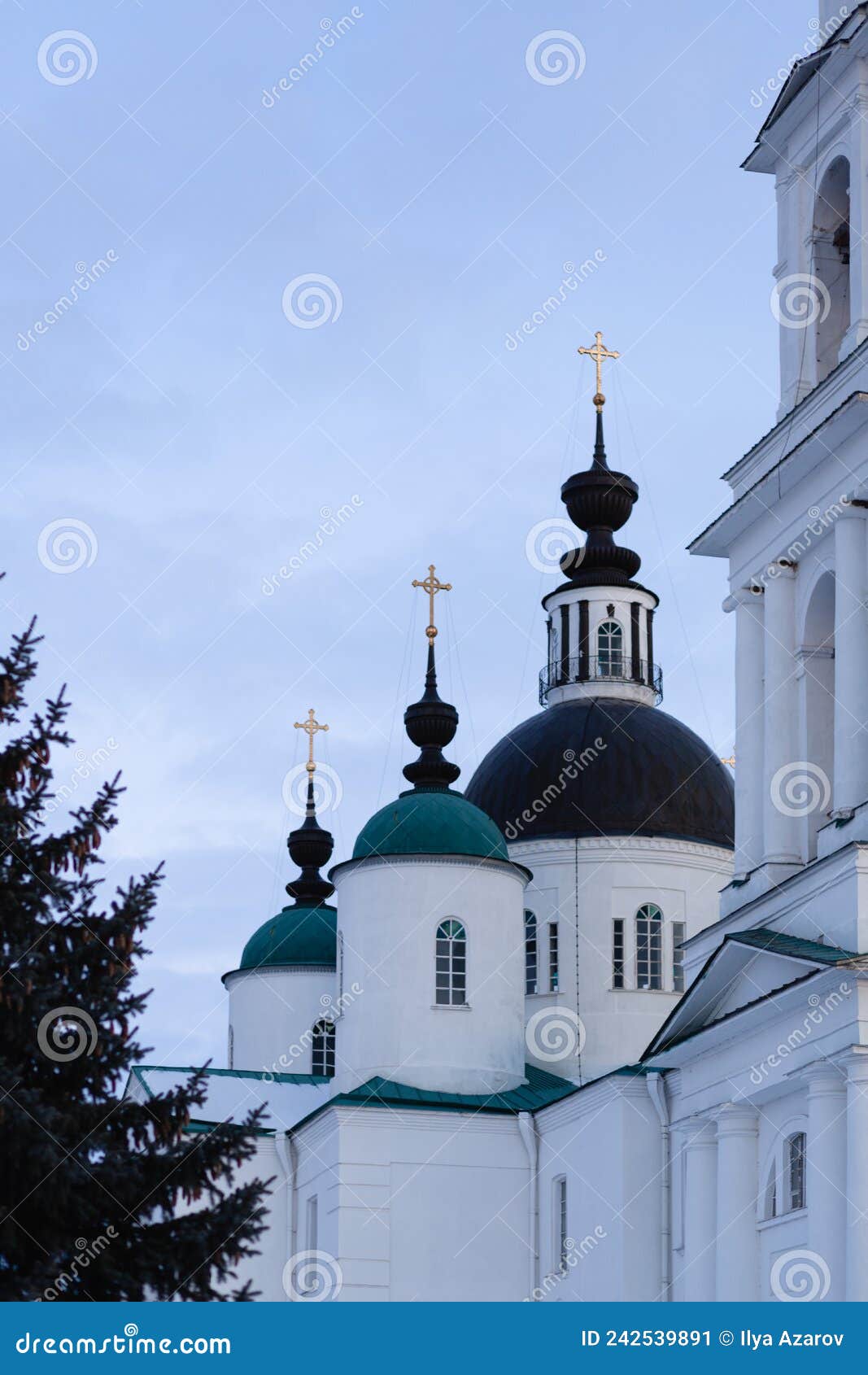 an orthodox white chirch with dark dome and golden crosses on top. a pine in the left corner