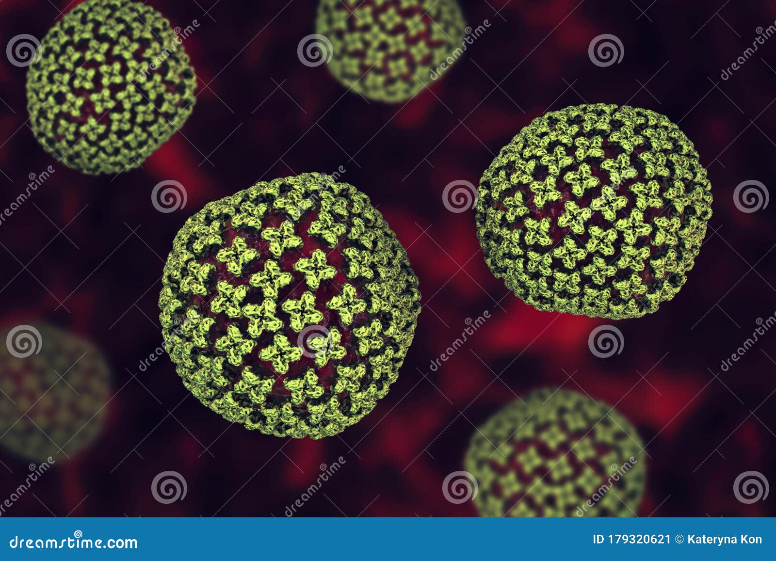 orthohantavirus that causes hantavirus hemorrhagic fever with renal syndrome