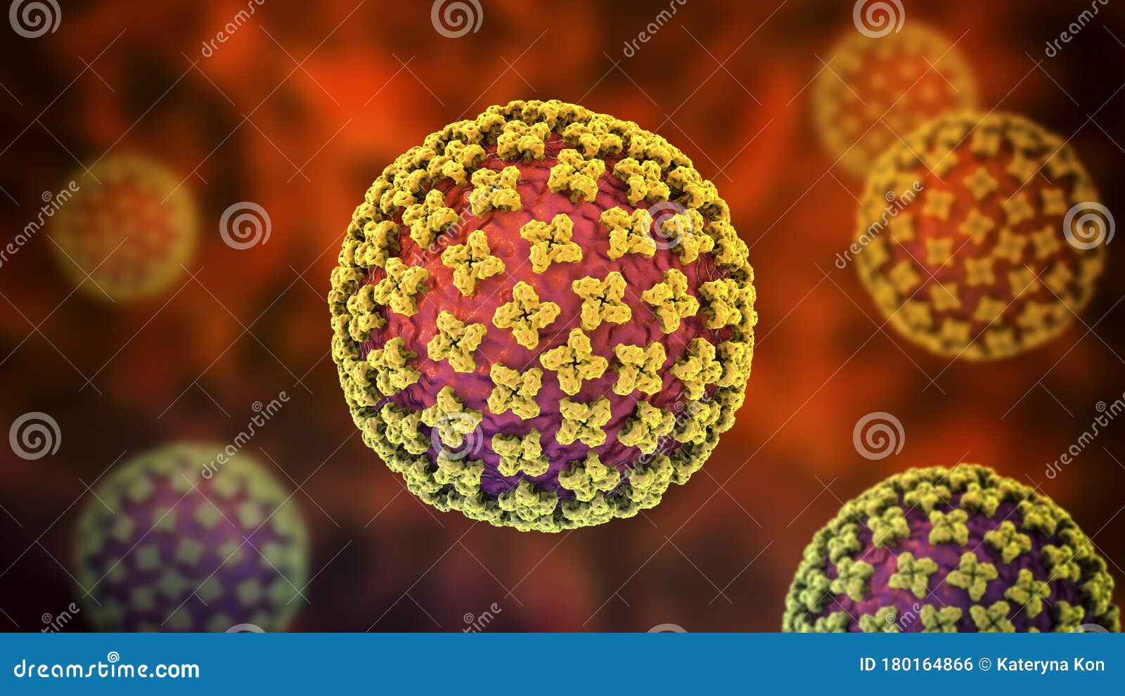 orthohantavirus that causes hantavirus hemorrhagic fever with renal syndrome