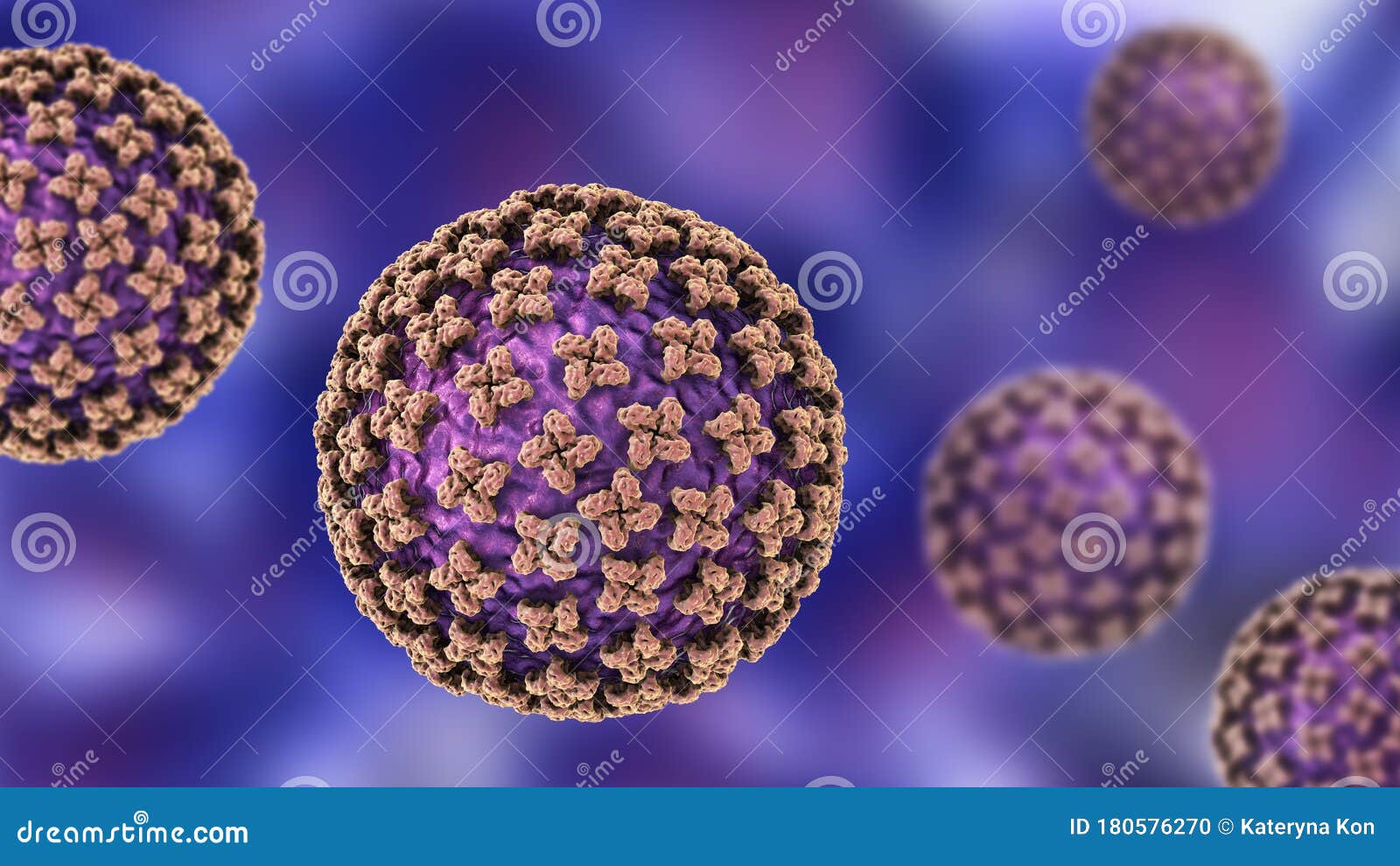 orthohantavirus that causes hantavirus hemorrhagic fever with renal syndrome