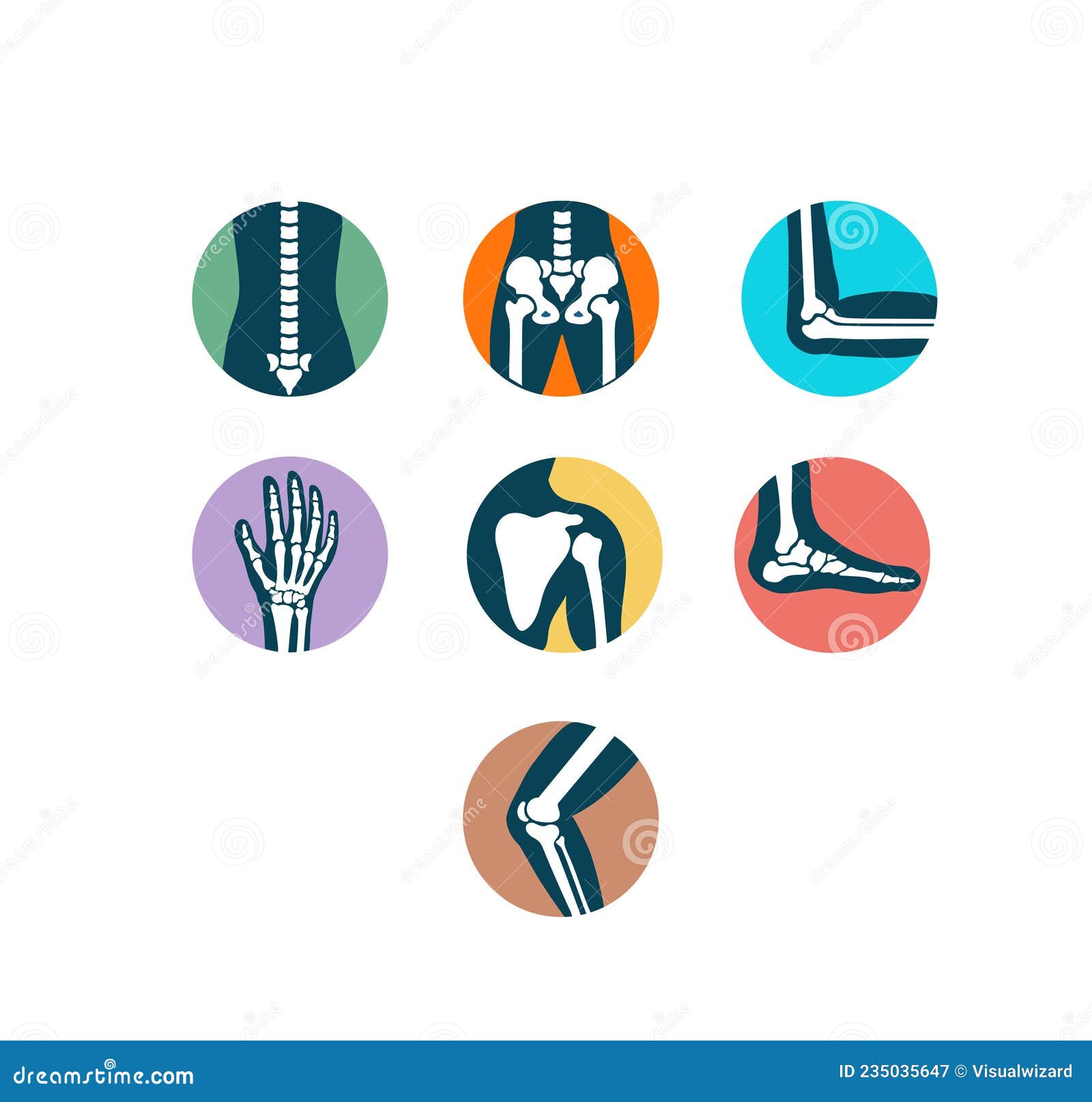 orthopedic medical human joints and bones icon set