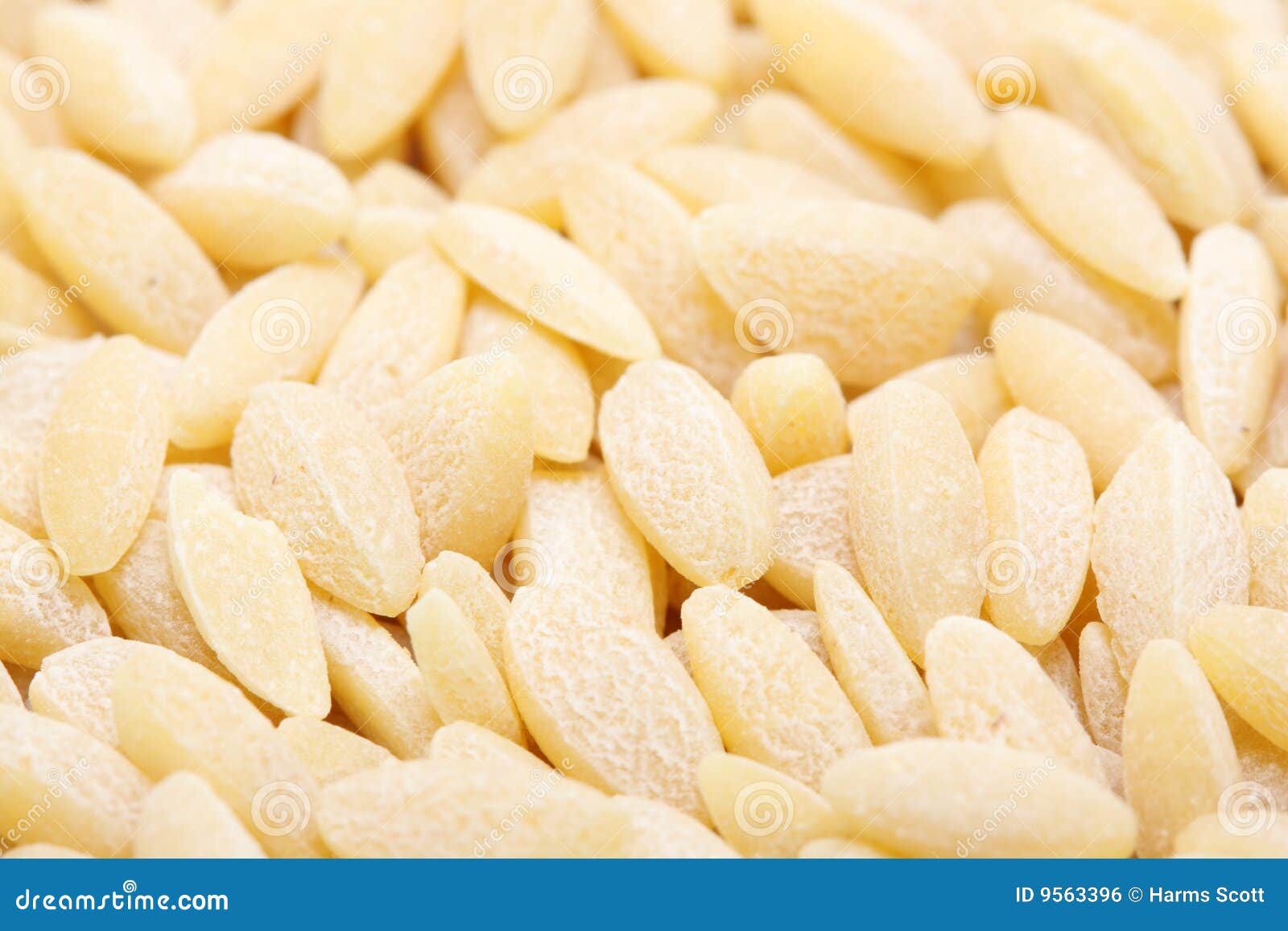 Orzo stock photo. Image of organic, plant, vegetarian 9563396