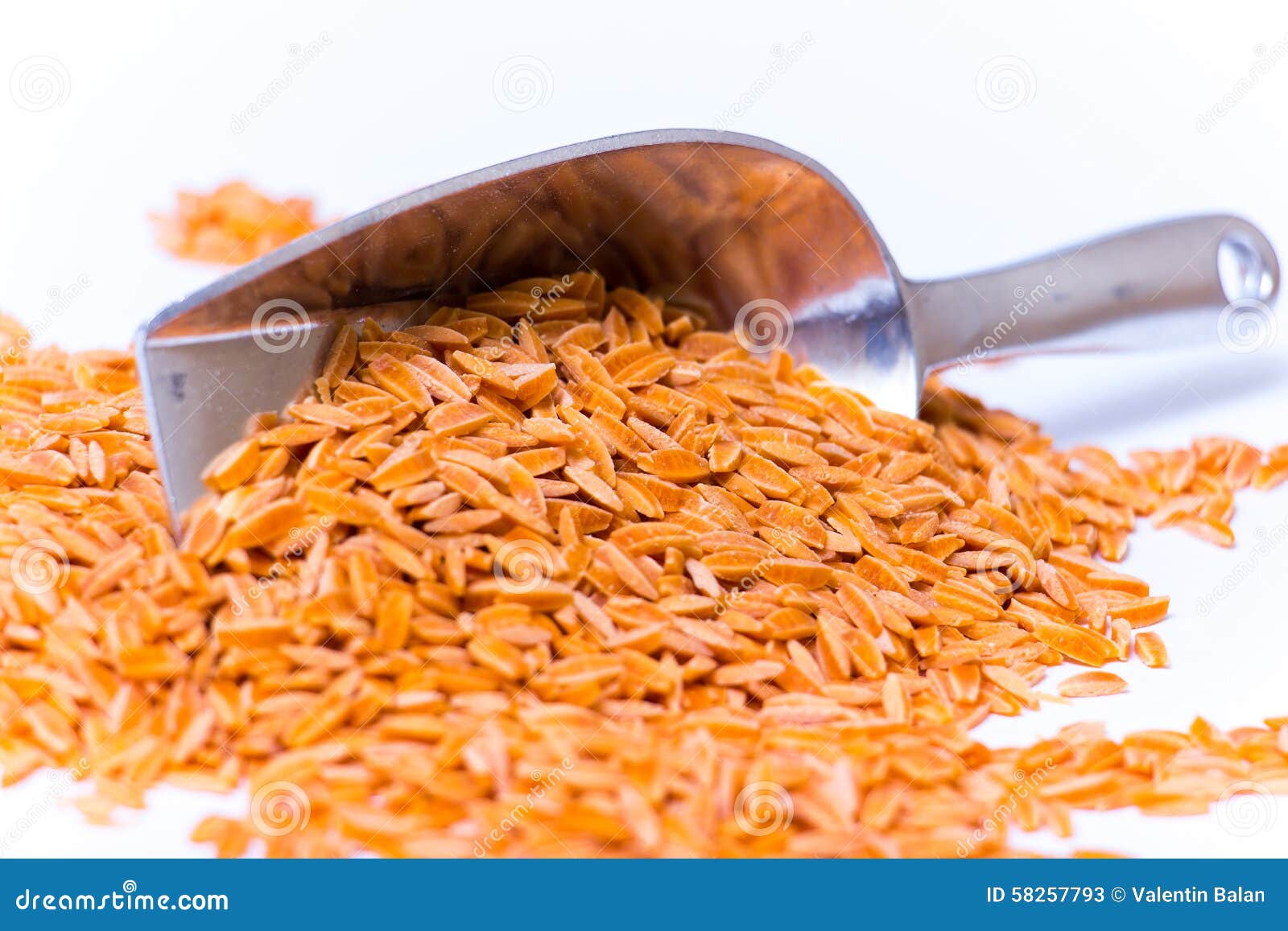 Orzo pasta stock image. Image of pepper, isolated, pasta 58257793