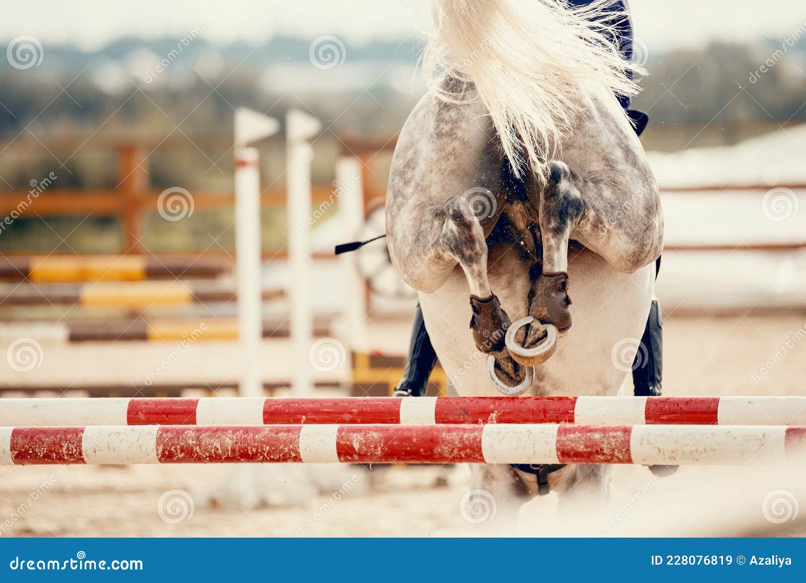 Os Cascos De Pá De Um Cavalo Sobre Um Obstáculo. O Cavalo Supera