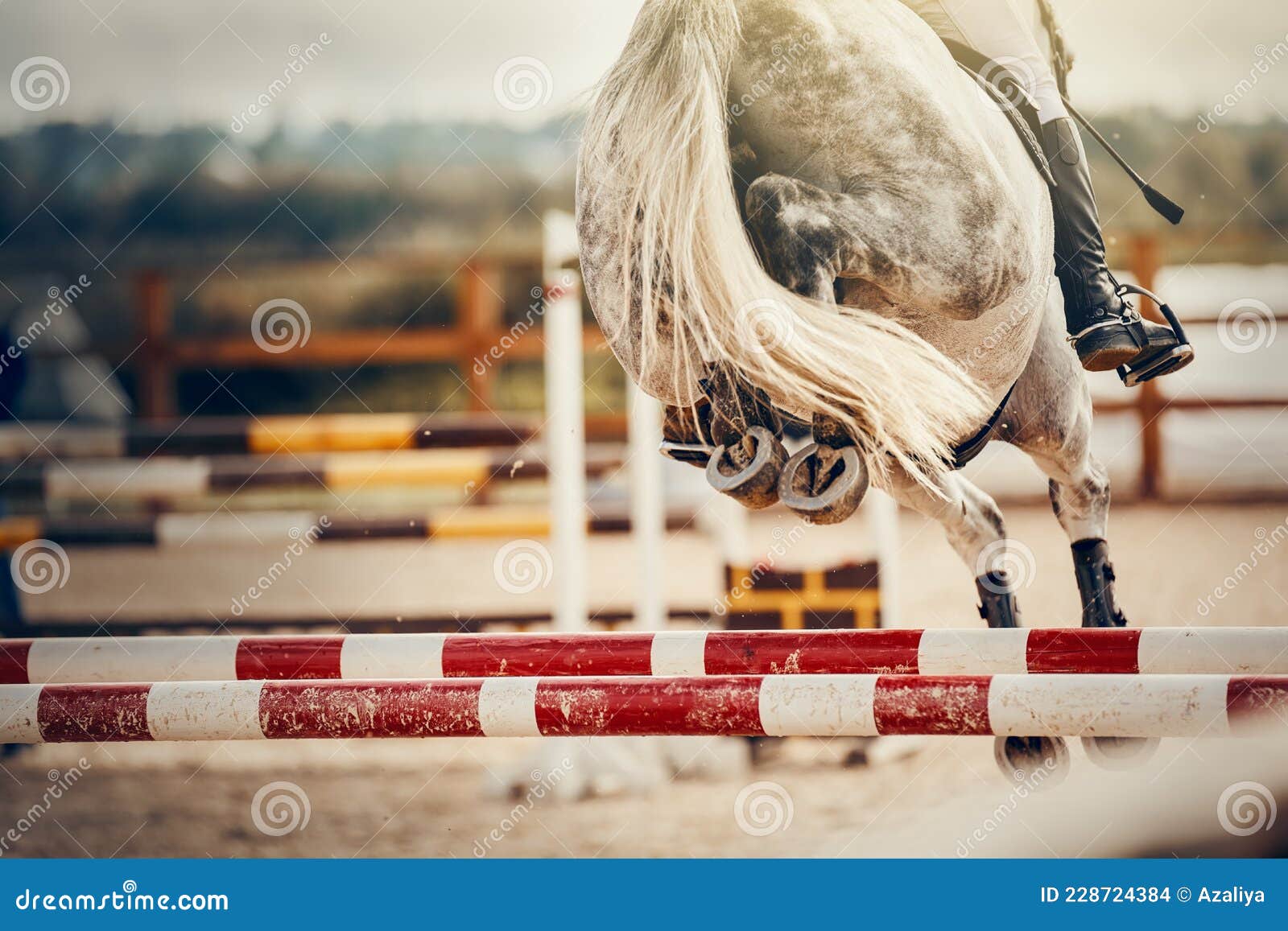 Os Cascos De Pá De Um Cavalo Sobre Um Obstáculo. O Cavalo Supera