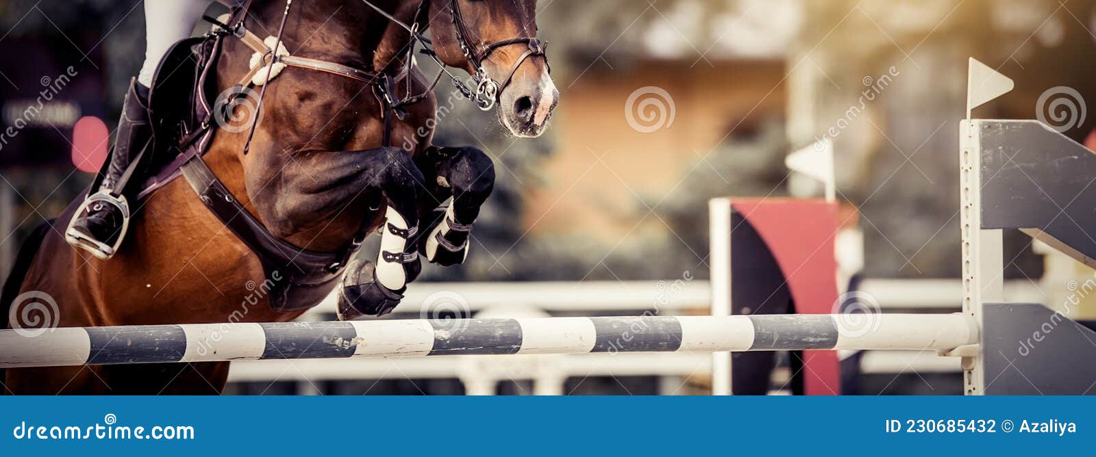 Os Cascos De Pá De Um Cavalo Sobre Um Obstáculo. O Cavalo Supera