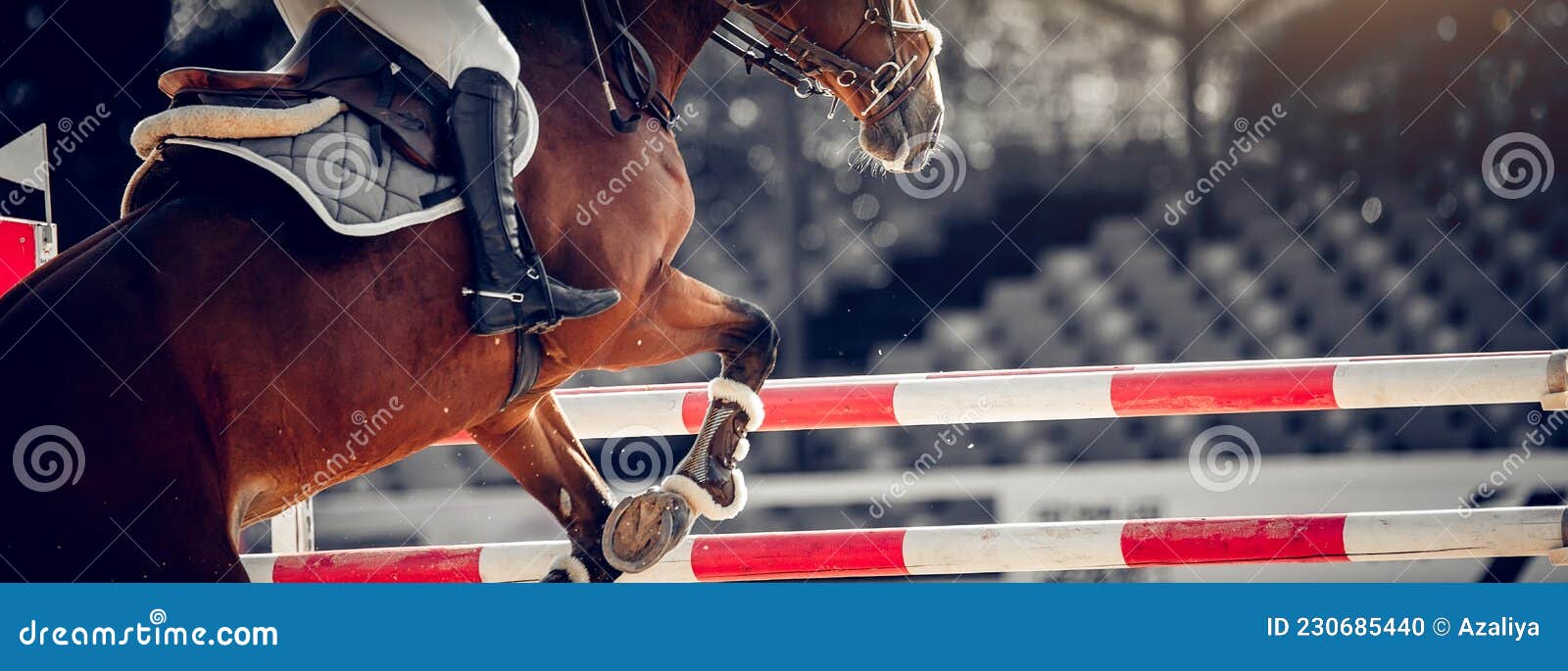 Os Cascos De Pá De Um Cavalo Sobre Um Obstáculo. O Cavalo Supera