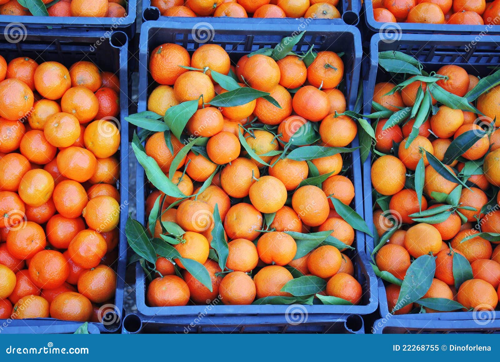 Os mandarino em umas caixas no mercado