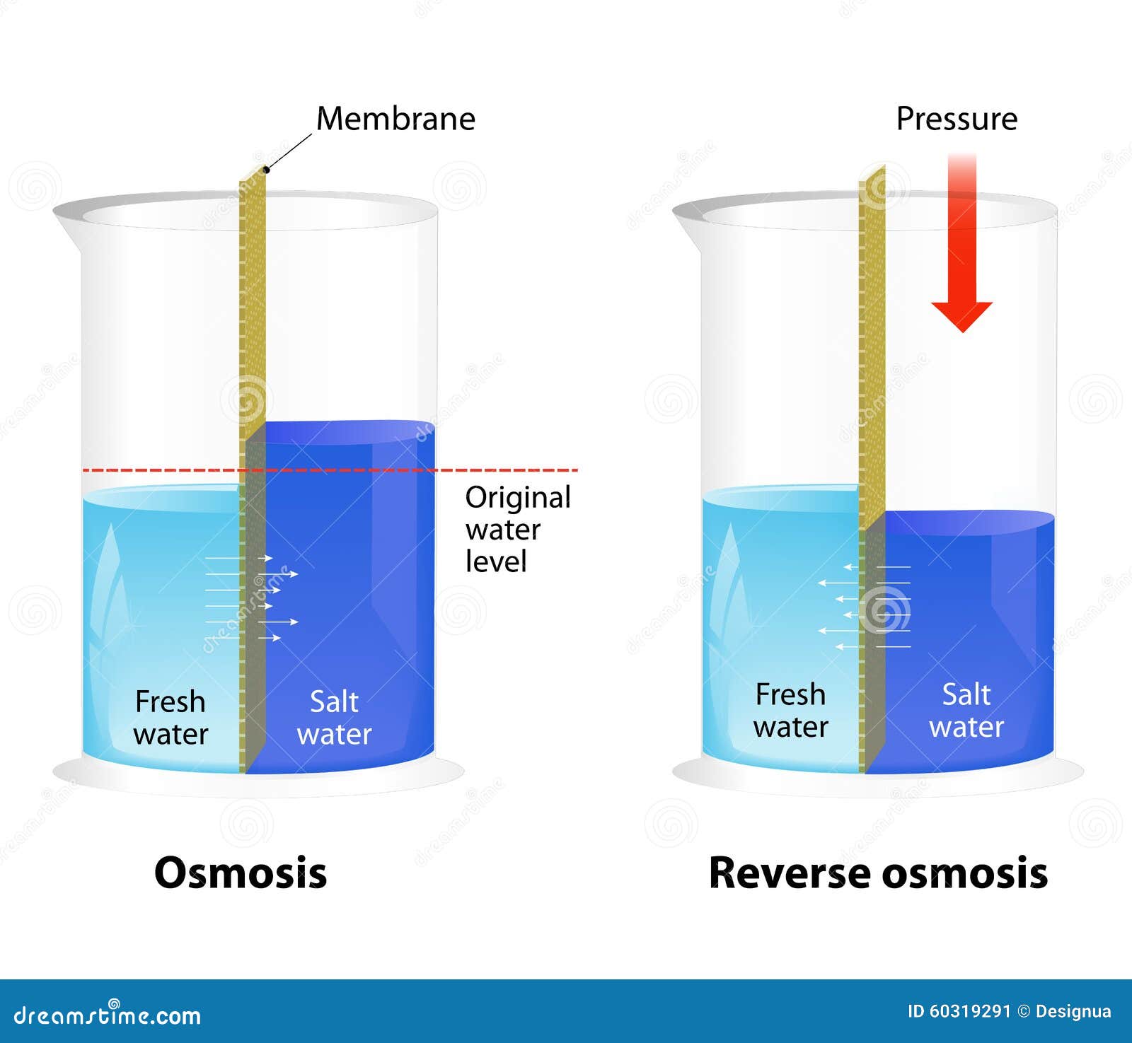 Natures Solution Reverse Osmosis Water 17