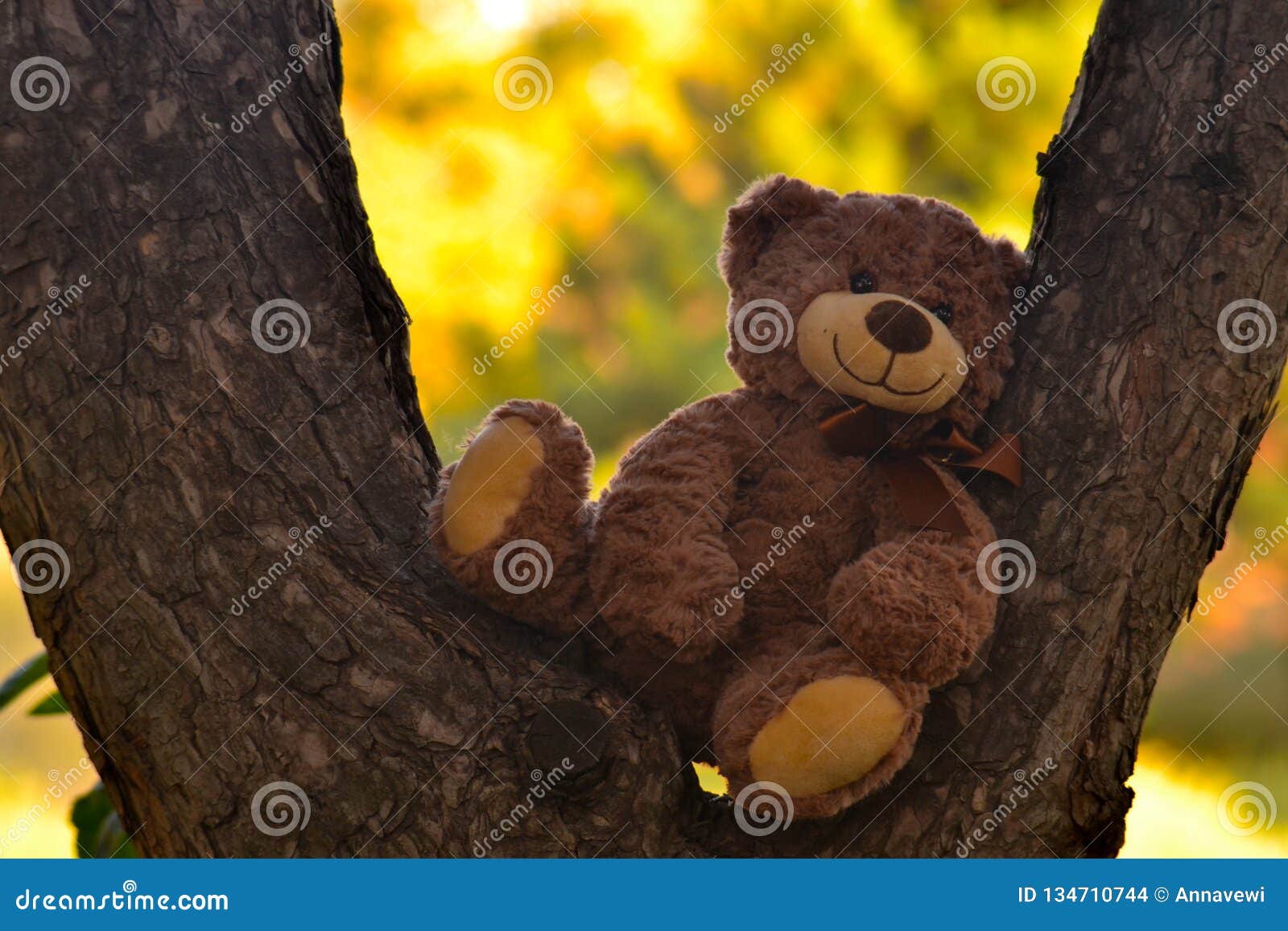 Oso De Peluche En Un Bosque Del Pino Foto de archivo - Imagen de