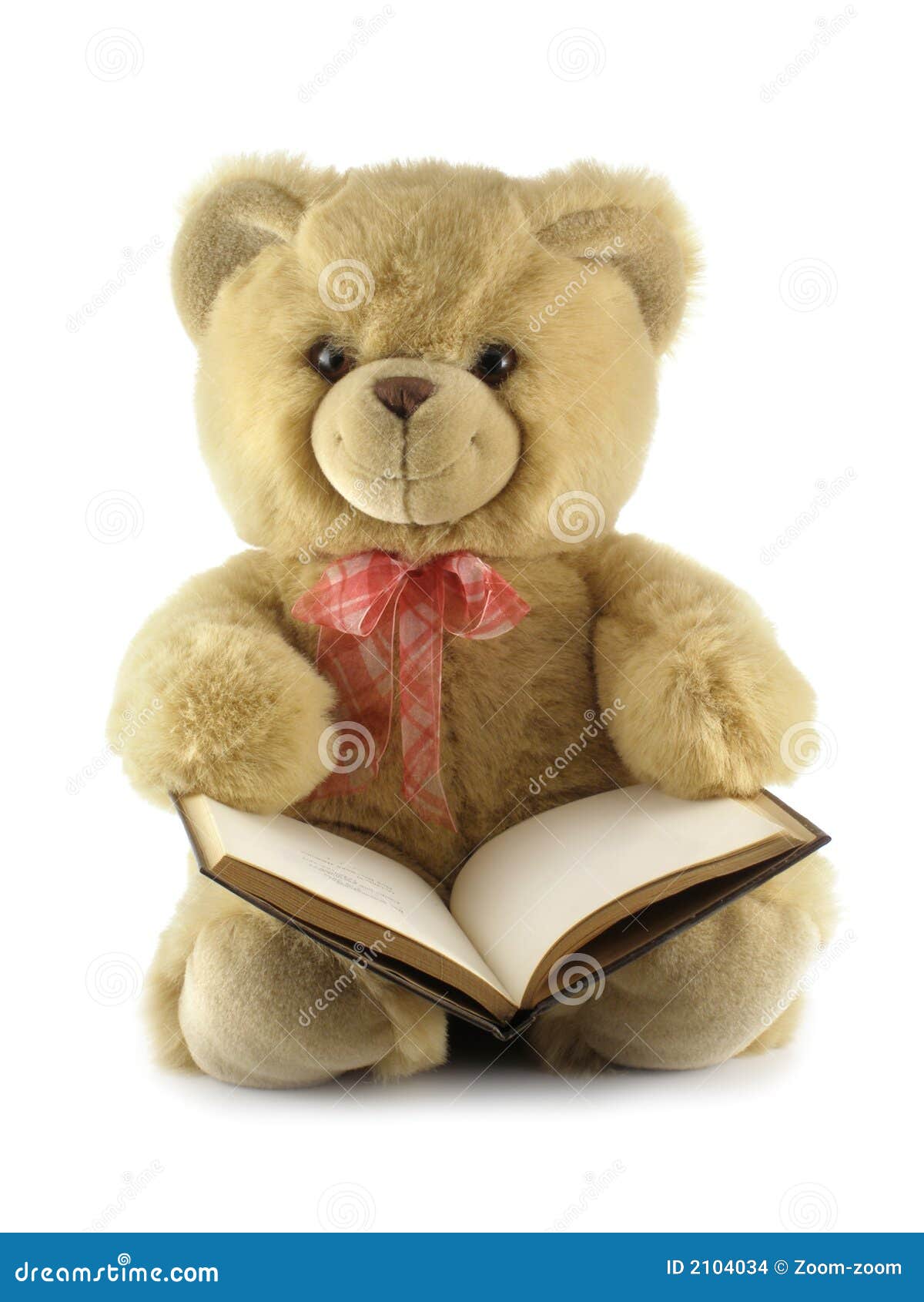libro con peluche