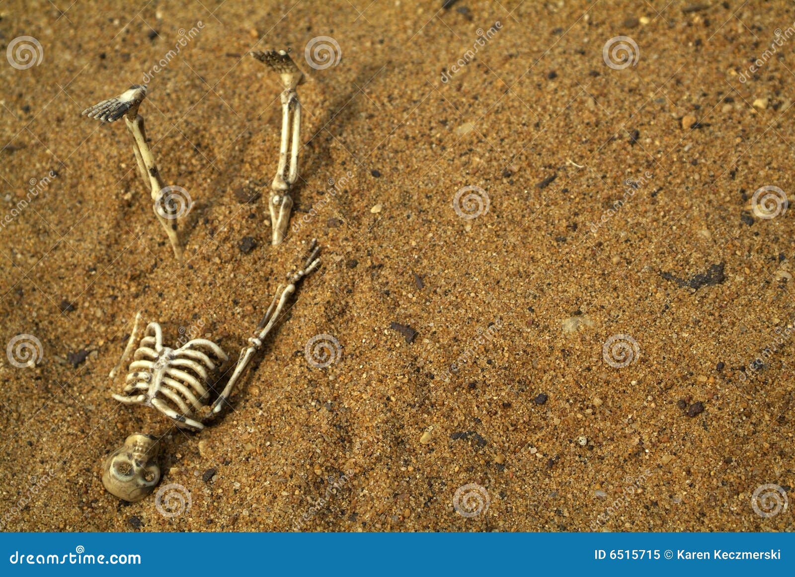 Seduta Dello Scheletro Di Halloween Immagine Stock - Immagine Di Terra - Foto 10