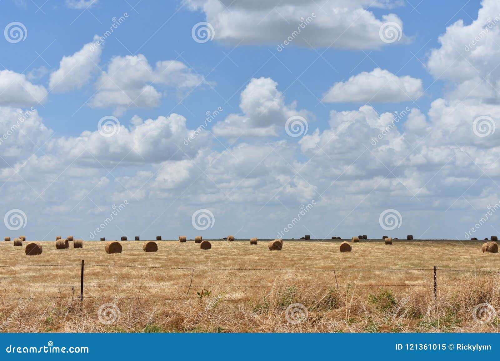 OstTexas Hay Field stockbild. Bild von feld, blau, land 121361015
