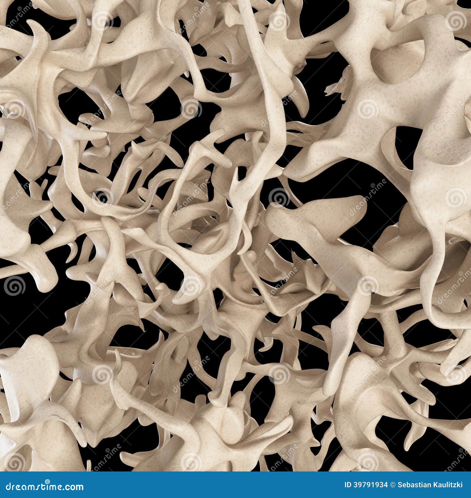 Osteoporosis Bone Structure Stock Illustration Biology Diagrams
