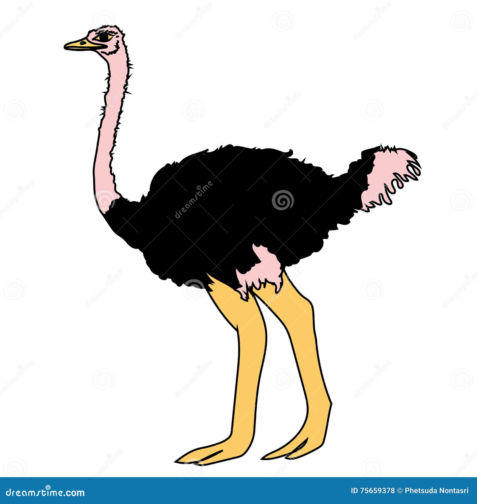 Ostrich Bird Poultry Beast Icon Cartoon Design Abstract Illustration Animal Stock Illustration - Illustration of bird, decorative: 75659378 Ostrich Bird Poultry Beast Icon Cartoon Design Abstract Illustration Animal Stock Illustration - Illustration of bird, decorative: 75659378