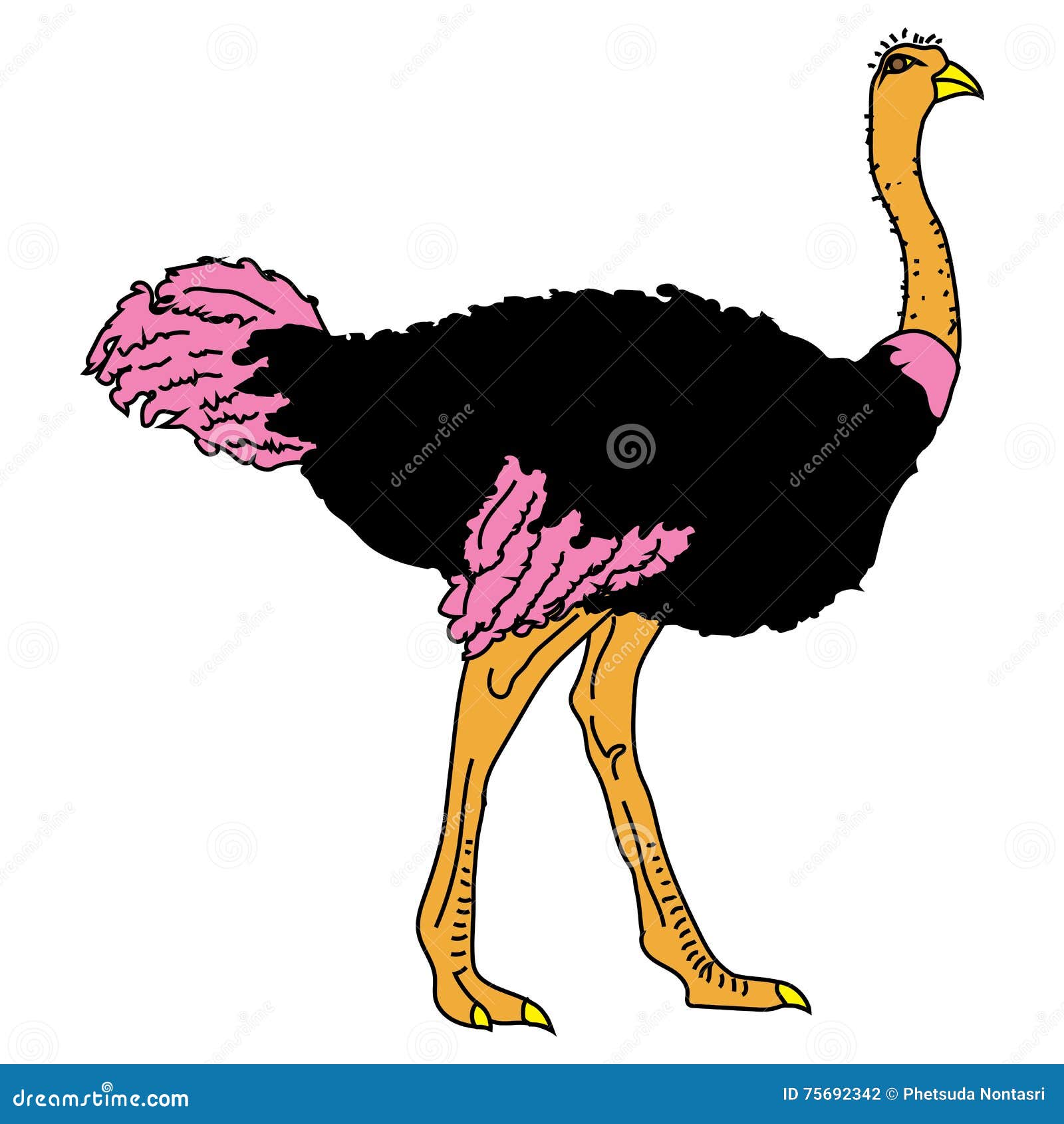 ostrich bird poultry beast icon cartoon  abstract  animal