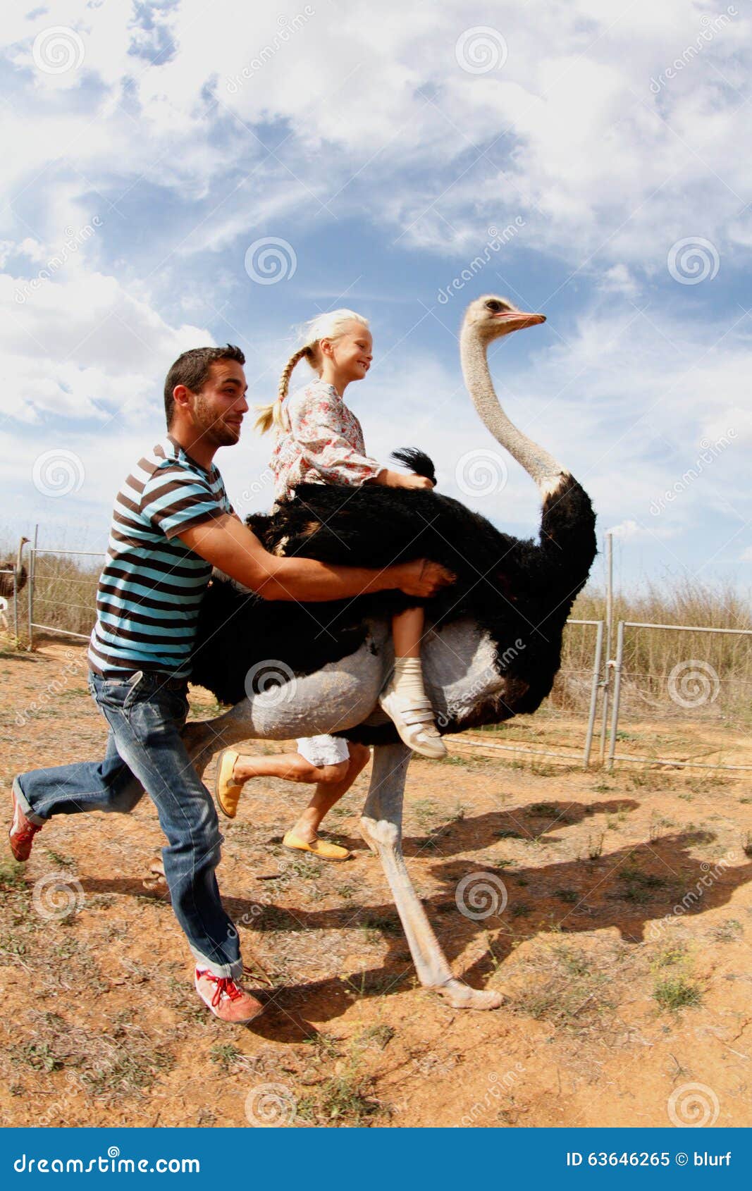 Ostrich Carrying a Young Girl on His Back 004 Editorial Image - Image ...