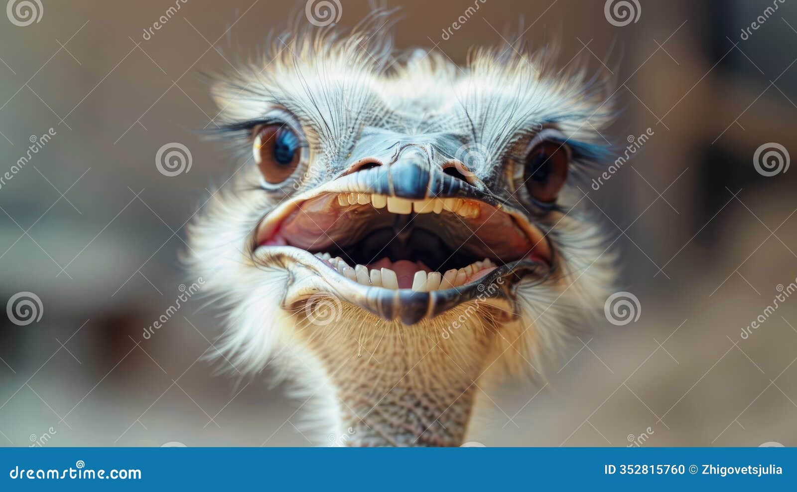 ostrich displays a lively expression, highlighting its distinctiveai, ai generated