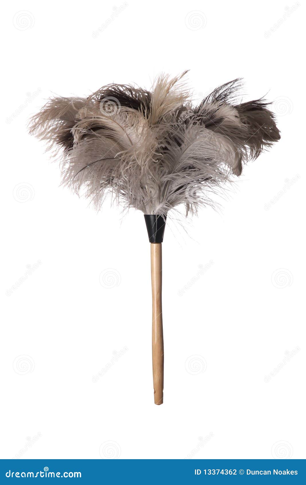 ostrich feather duster