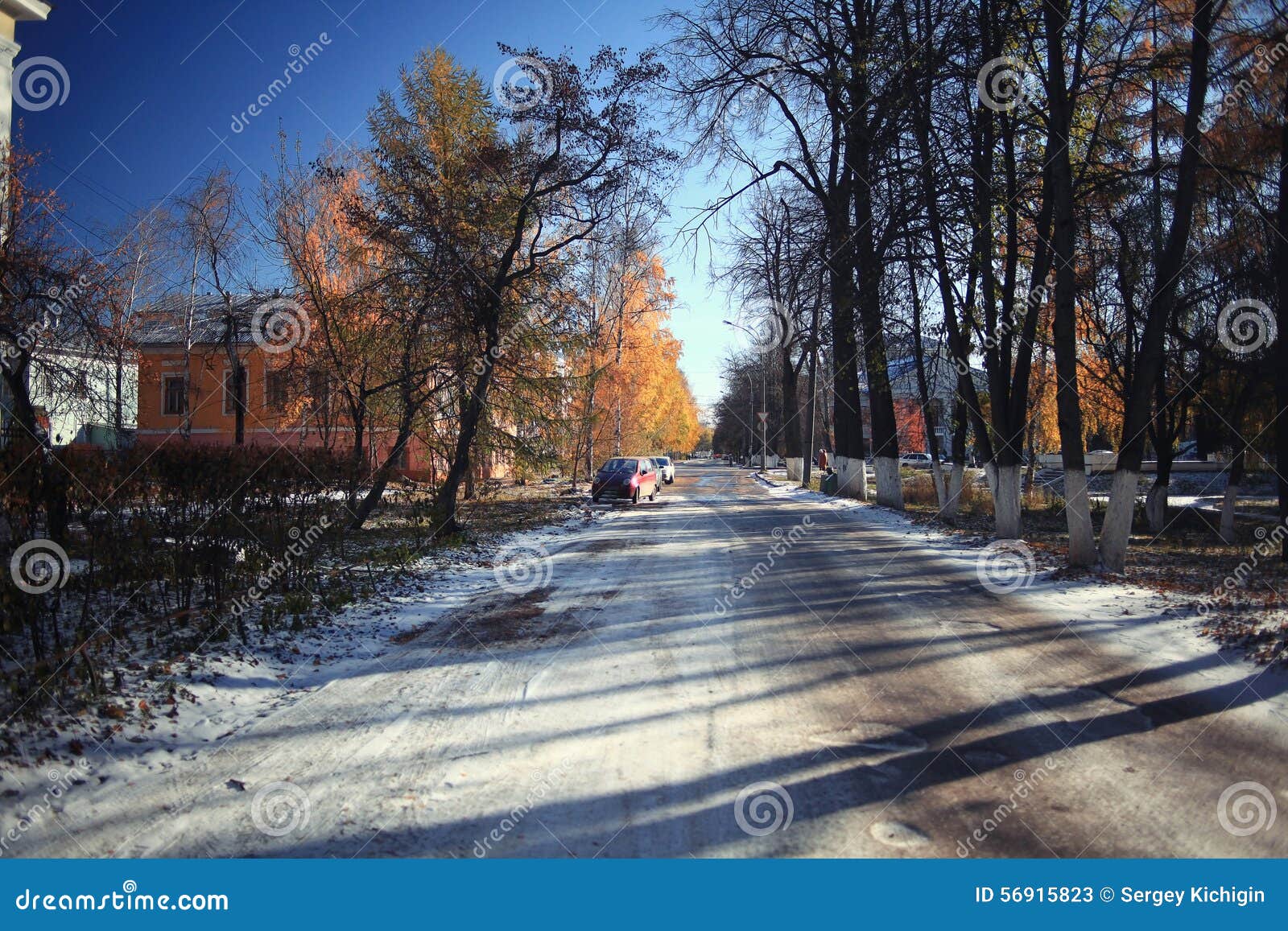 Bosque de la nieve de los árboles del otoño del parque del paisaje