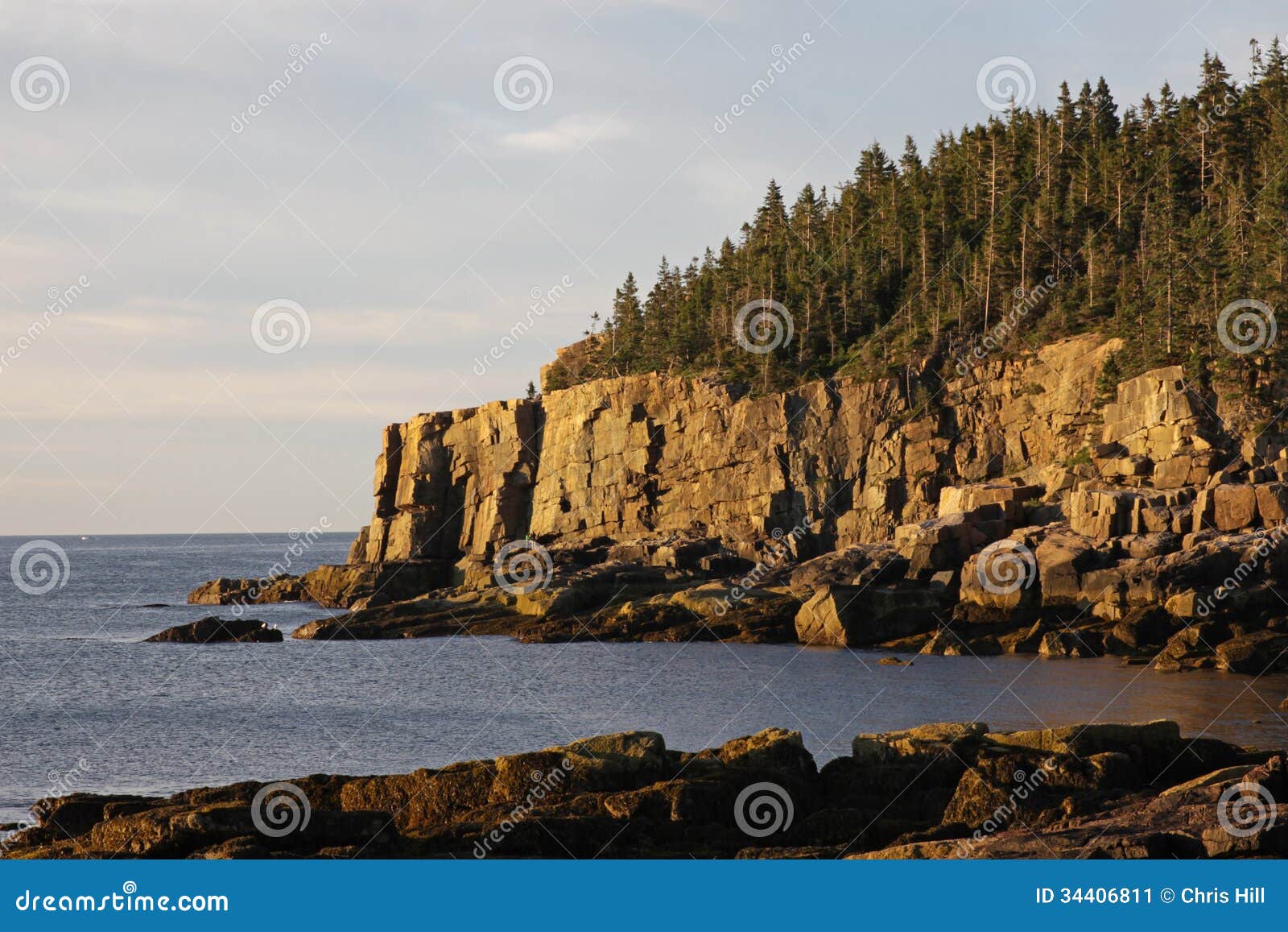 otter cliff at day break