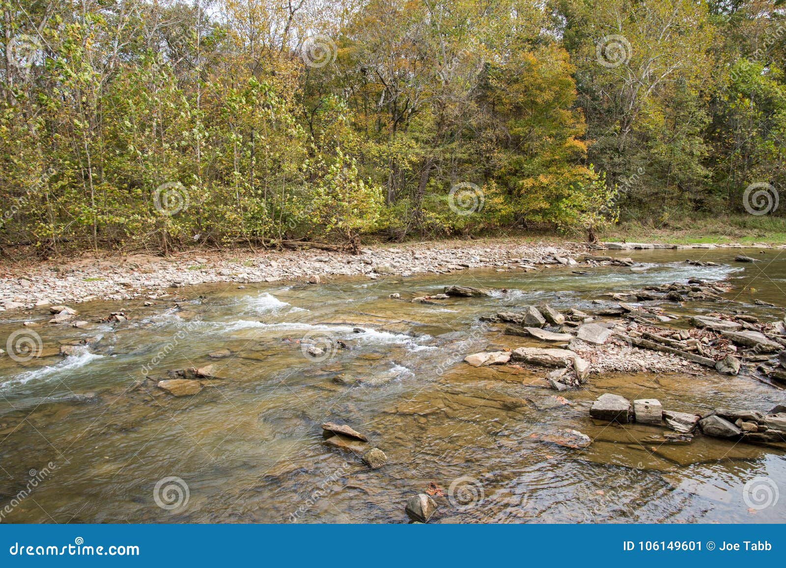 Otter Creek stream stock image. Image of stream, kentucky - 106149601