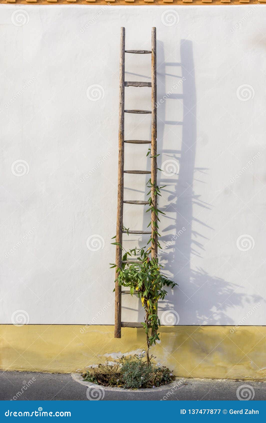 Oude Houten Ladder En Bloemen Als Decoratie Op De Voorgevel Van Een Hersteld Helft Betimmerd Gedeeltelijk Gepleisterd Huis Stock Afbeelding Image Of Schilderachtig Frame 137477877
