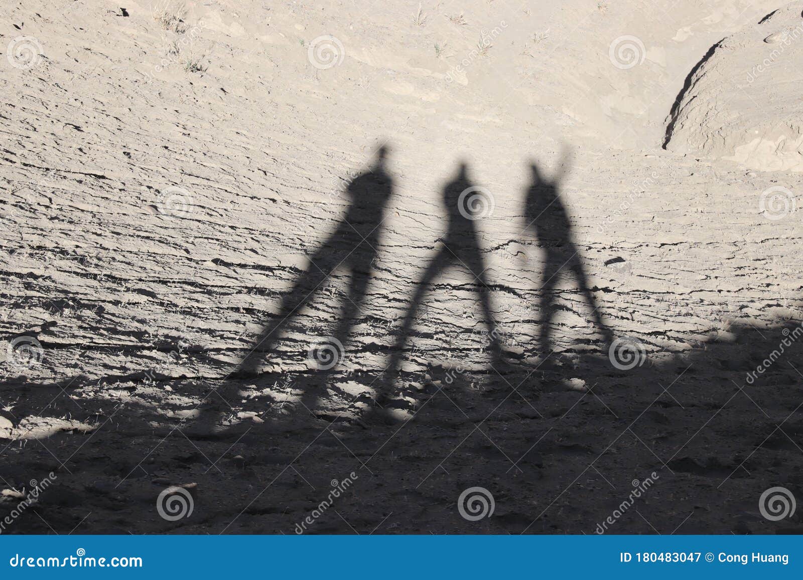 Our Shadow Follows Us Forever Stock Image Image Of Differently Forest Our Shadow Follows Us Forever Stock Image Image Of Differently Forest