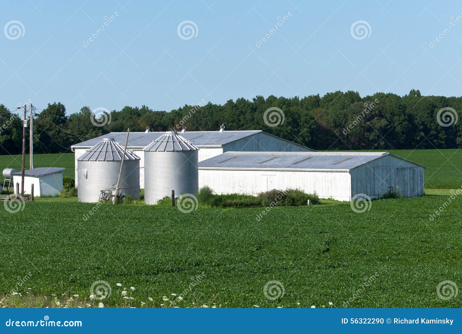 outbuildings and soybeans