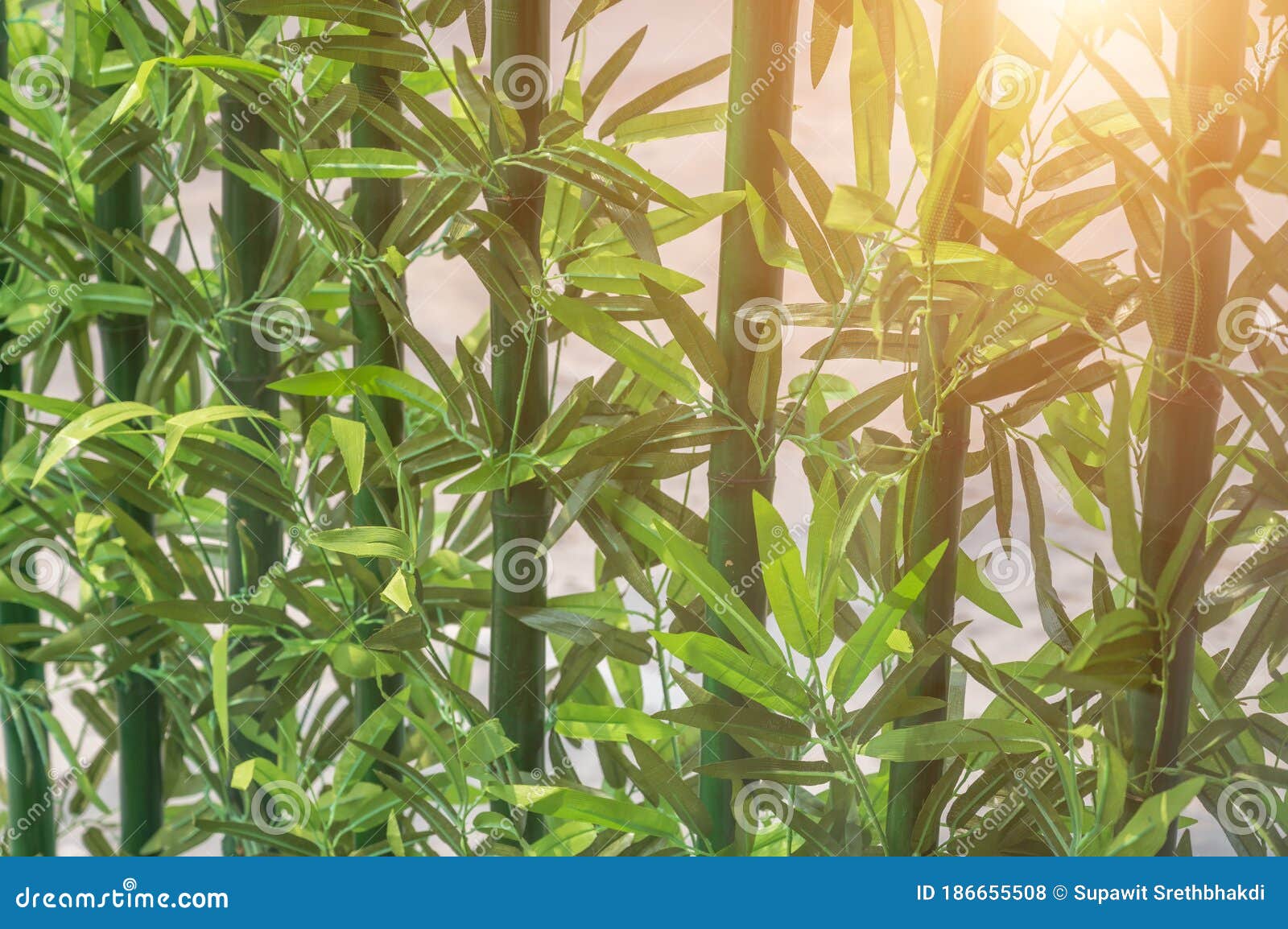 Outdoor Artificial Bamboo Trees. Stock Photo Image of botanical