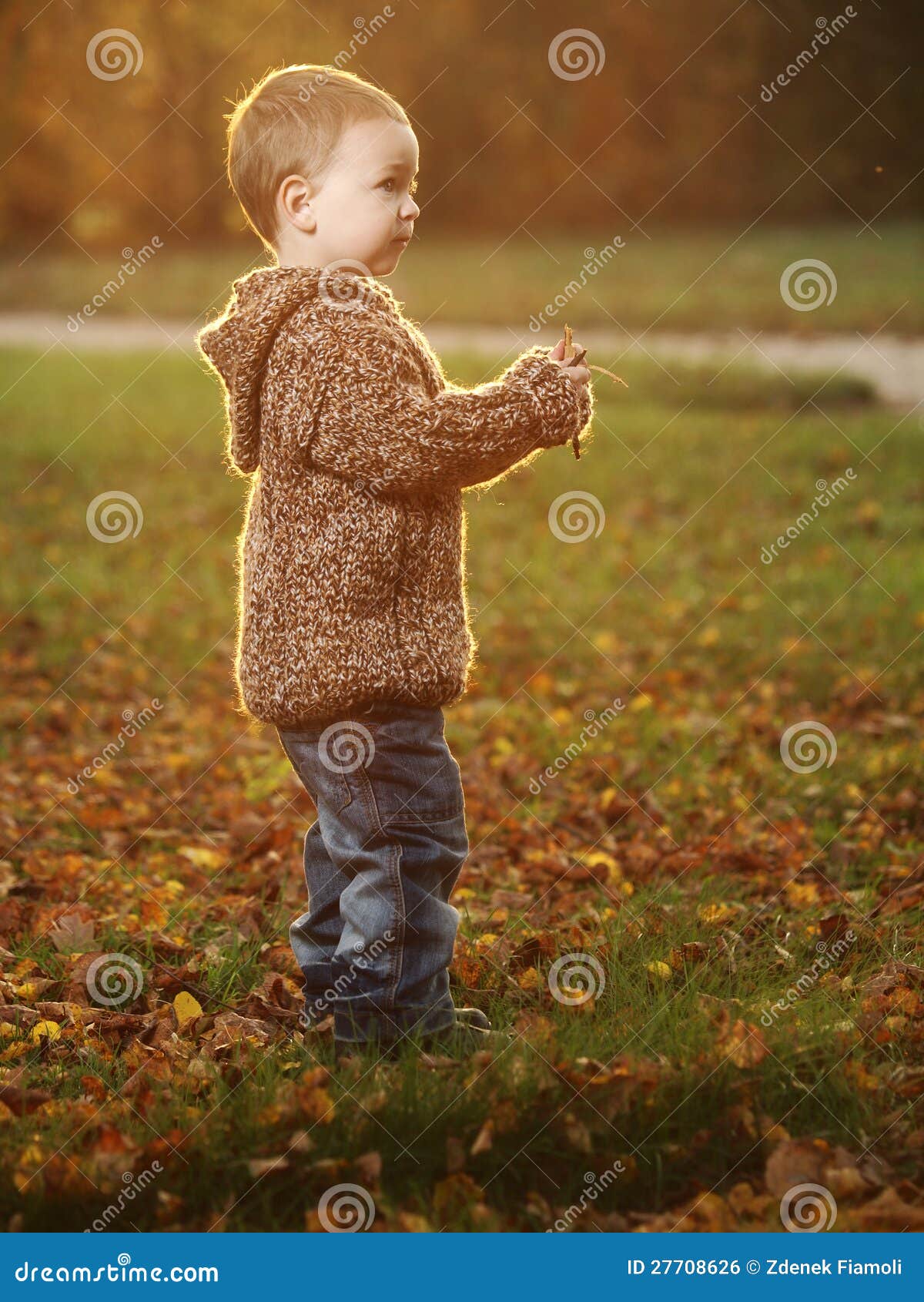 Outdoor boy stock photo. Image of autumn, little, leaf 27708626