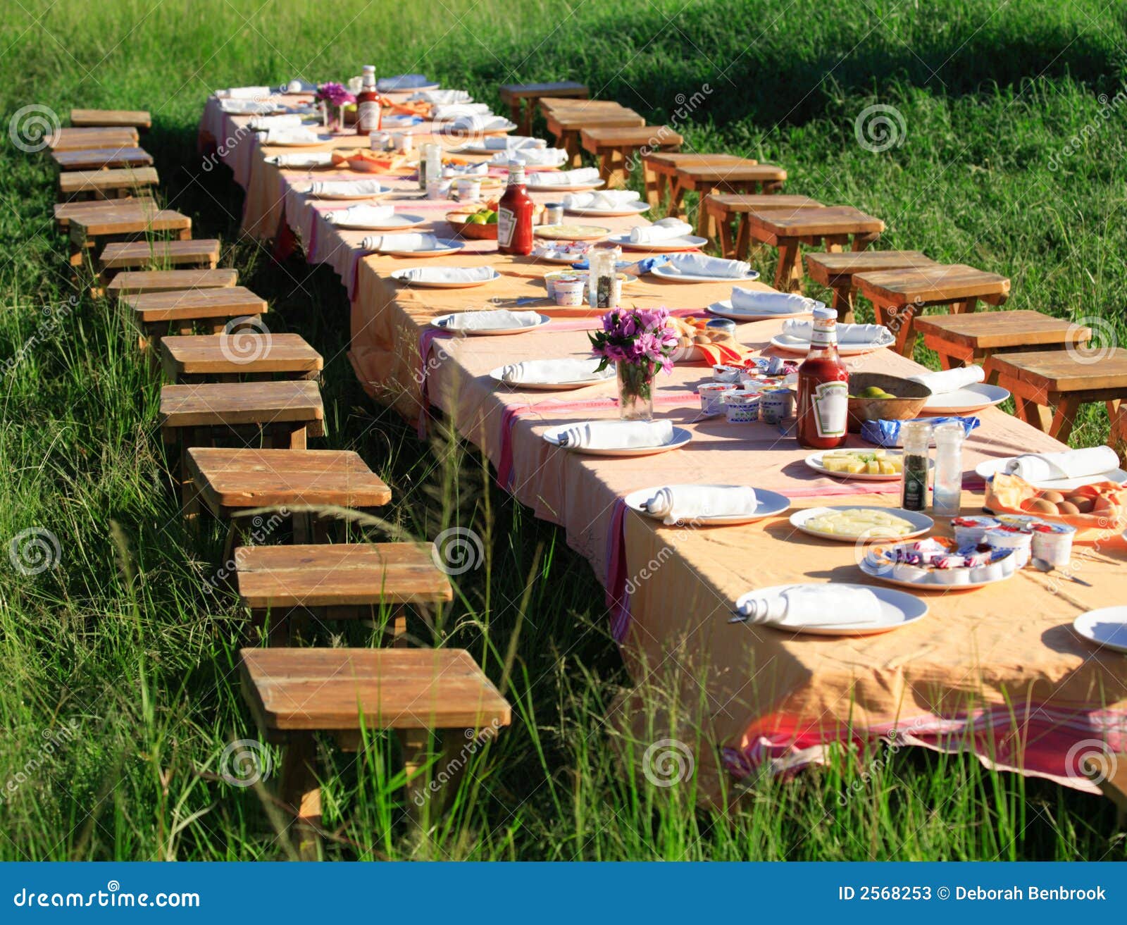 Outdoor breakfast stock image. Image of green, cloth, napkin 2568253