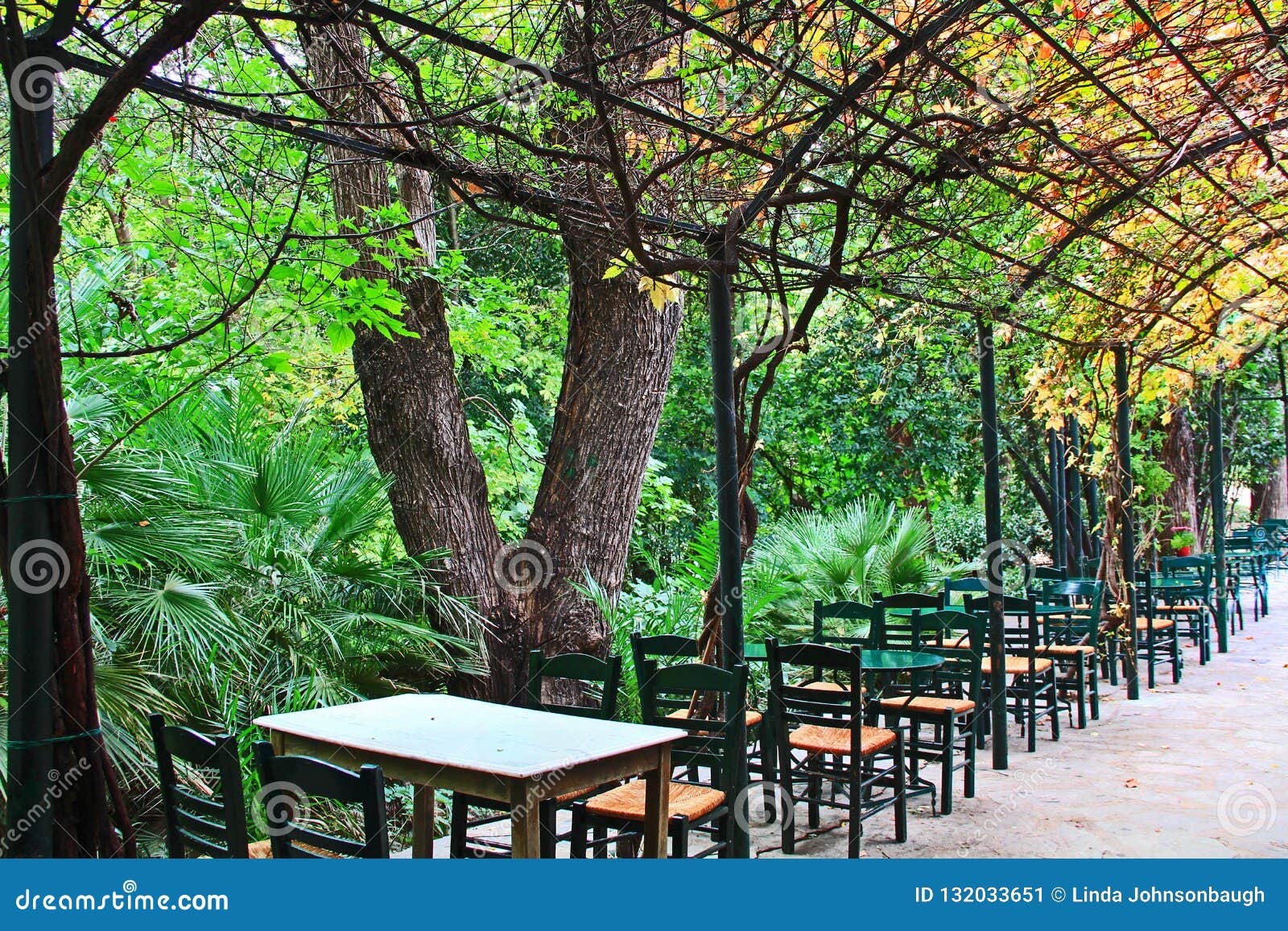 Outdoor Cafe In The National Garden In Athens Greece Stock Image