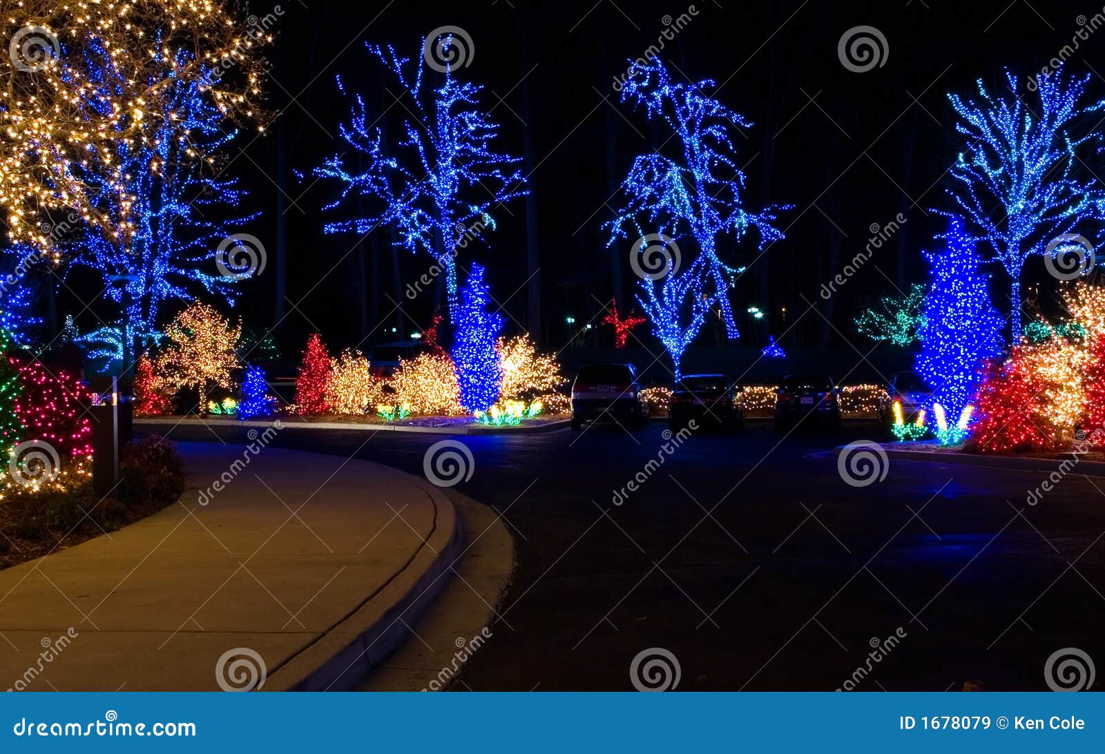 8+ Hundred Christmas Light Plug Royalty-Free Images, Stock Photos &  Pictures