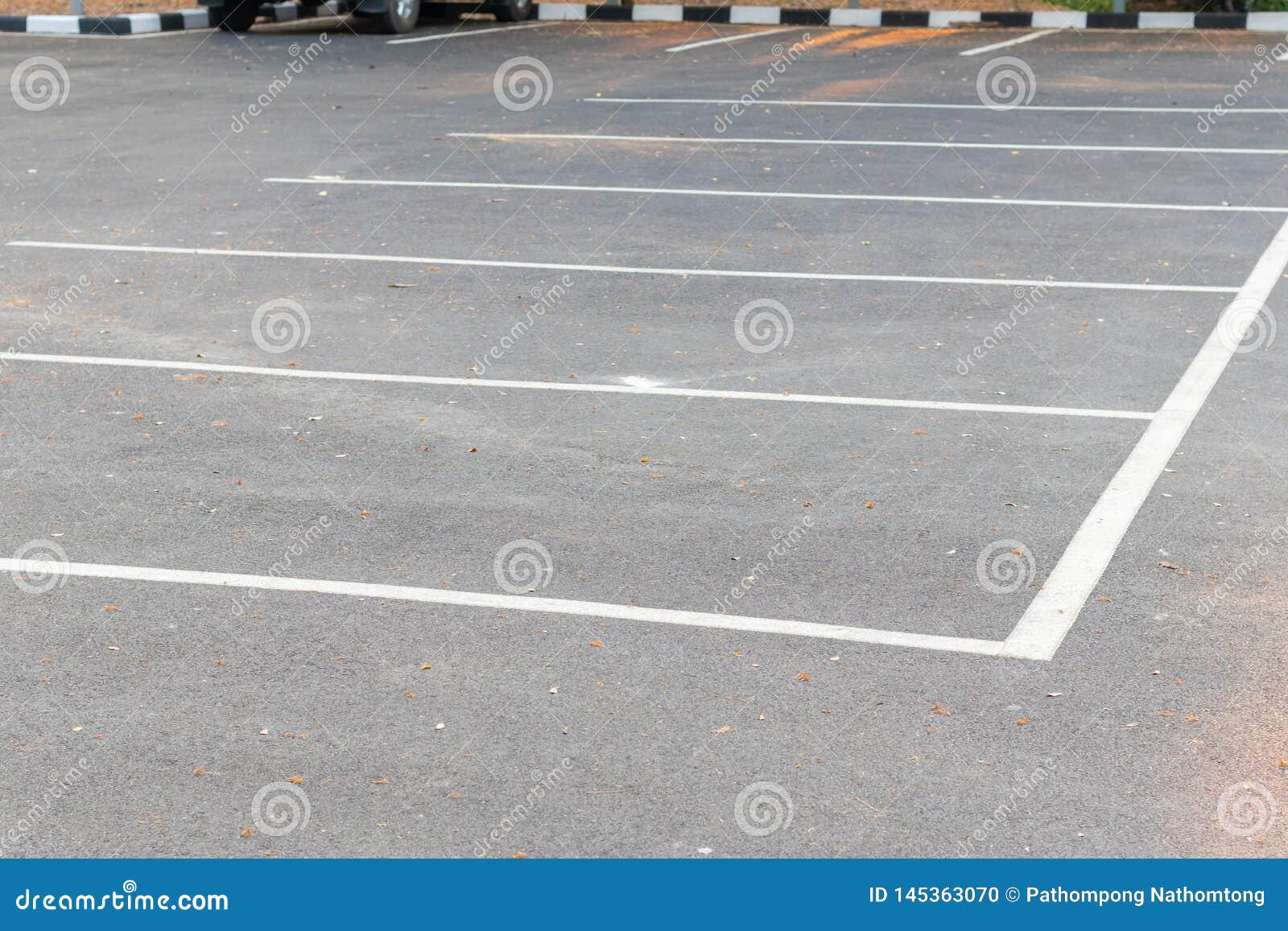 Empty Car Parking Near the Park Stock Photo Image of space, outdoors