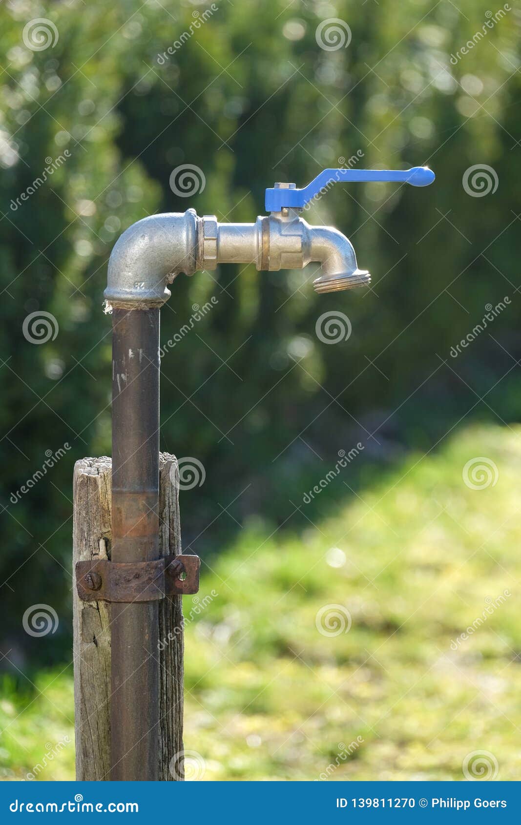 An Outdoor Faucet In The Garden Stock Photo Image Of Grow