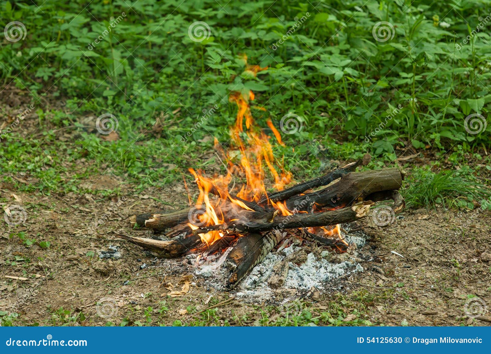 Outdoor Fire in the Spring Forest Stock Photo - Image of nature, bright ...