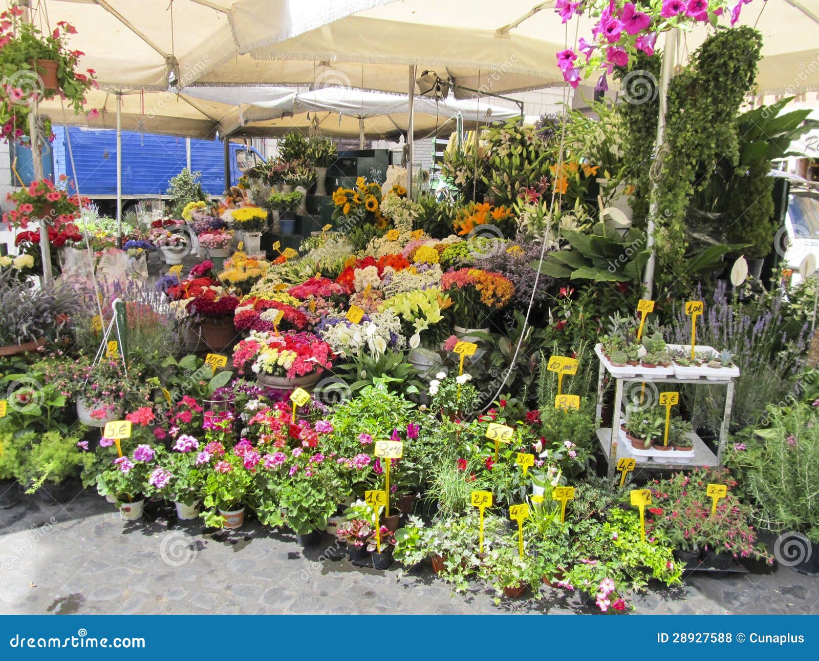 A outdoor florist stock photo. Image of carnation, market 28927588