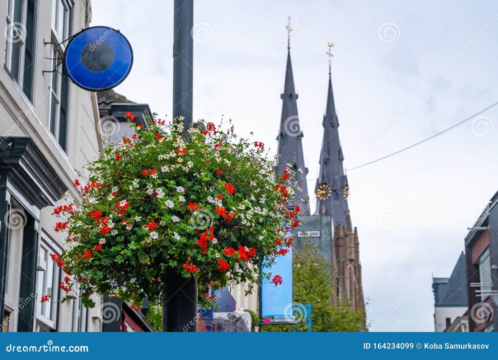 Outdoor Floweres in Eindhoven Editorial Stock Image Image of bouquet