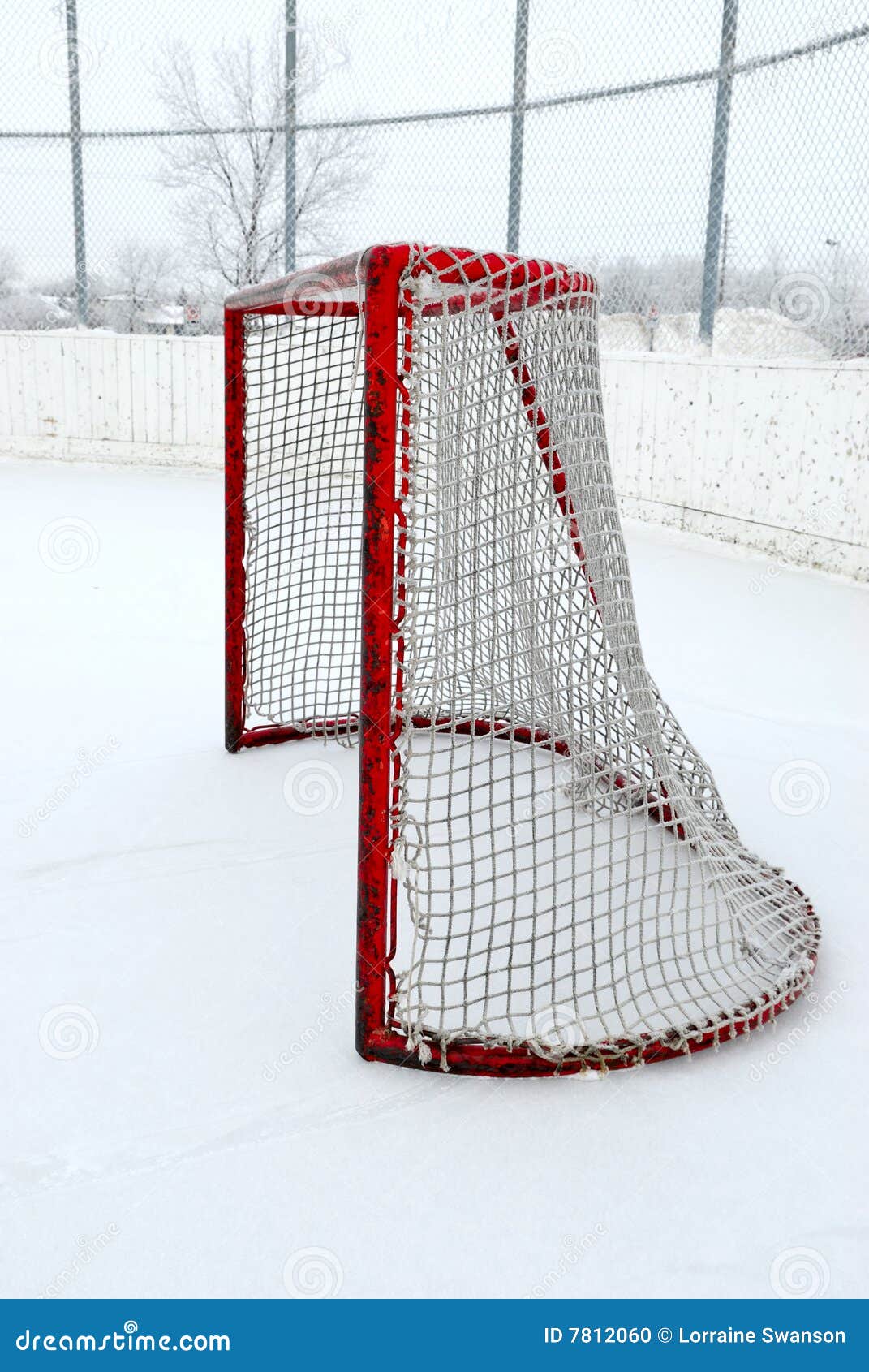 Outdoor Hockey Net stock photo. Image of hockey, rink 7812060
