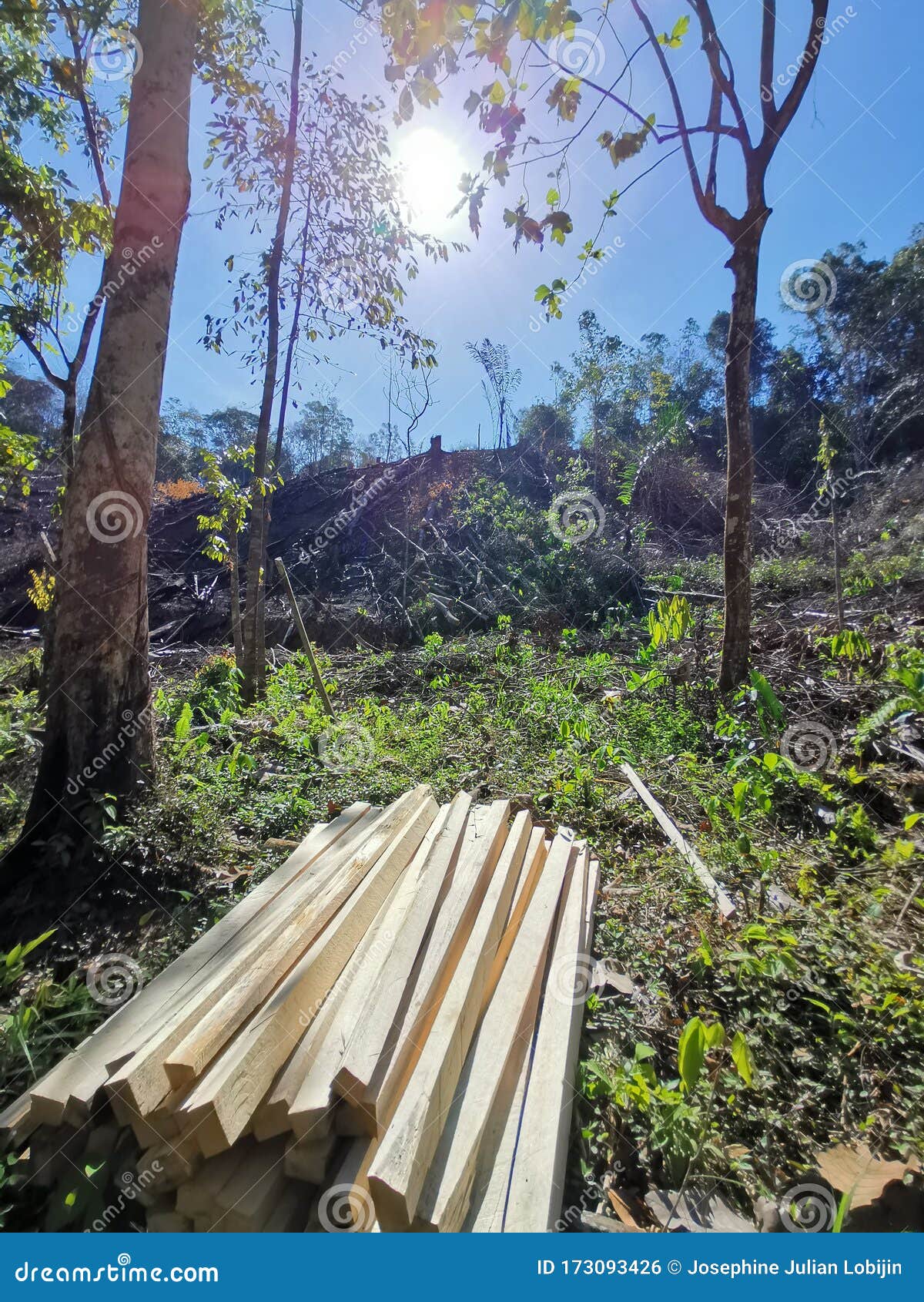 sabah land development board