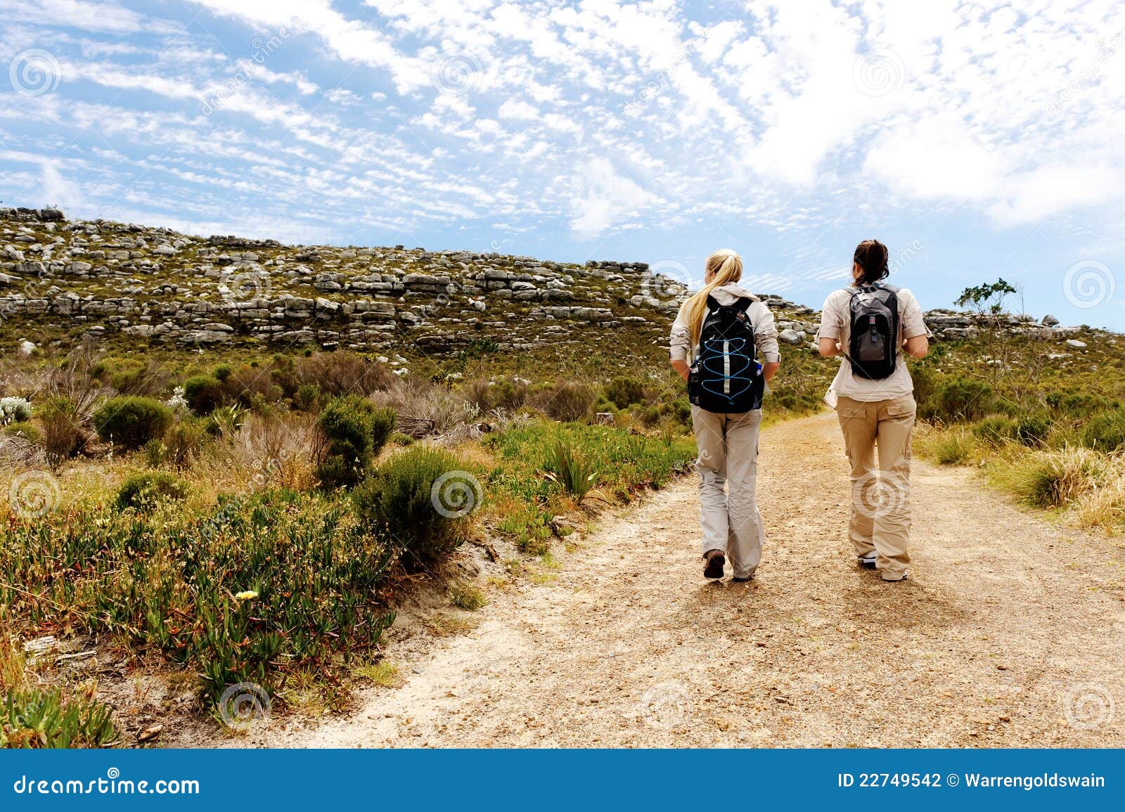 Outdoor lifestyle stock photo. Image of healthy, beauty 22749542